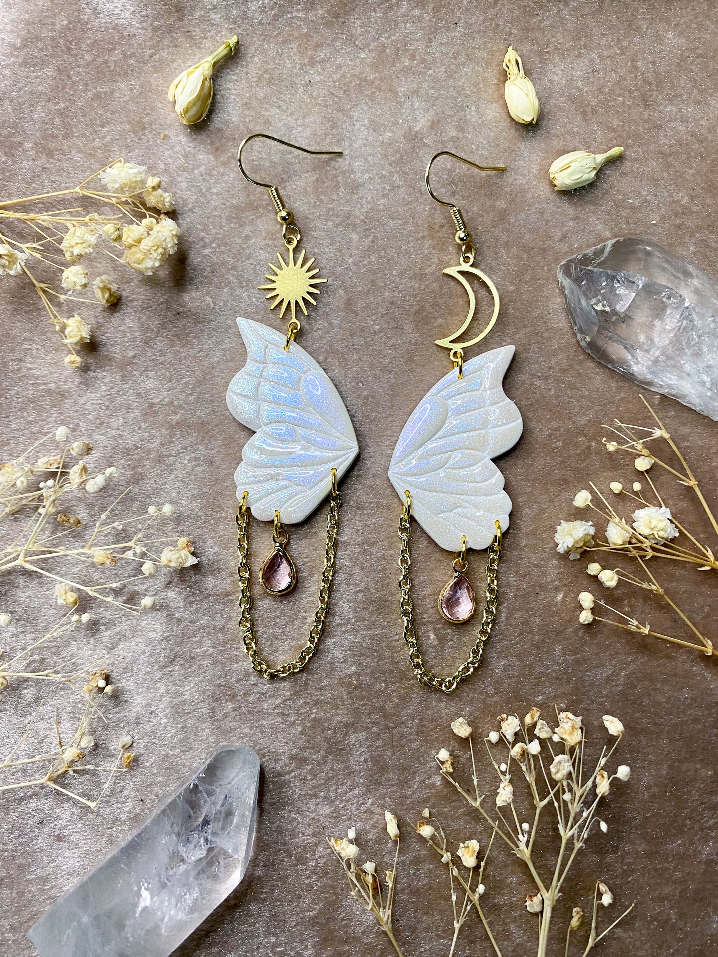 Iridescent Butterfly Wings