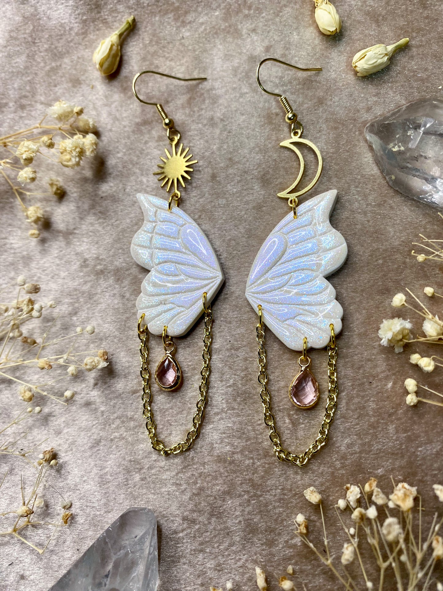 Iridescent Butterfly Wings