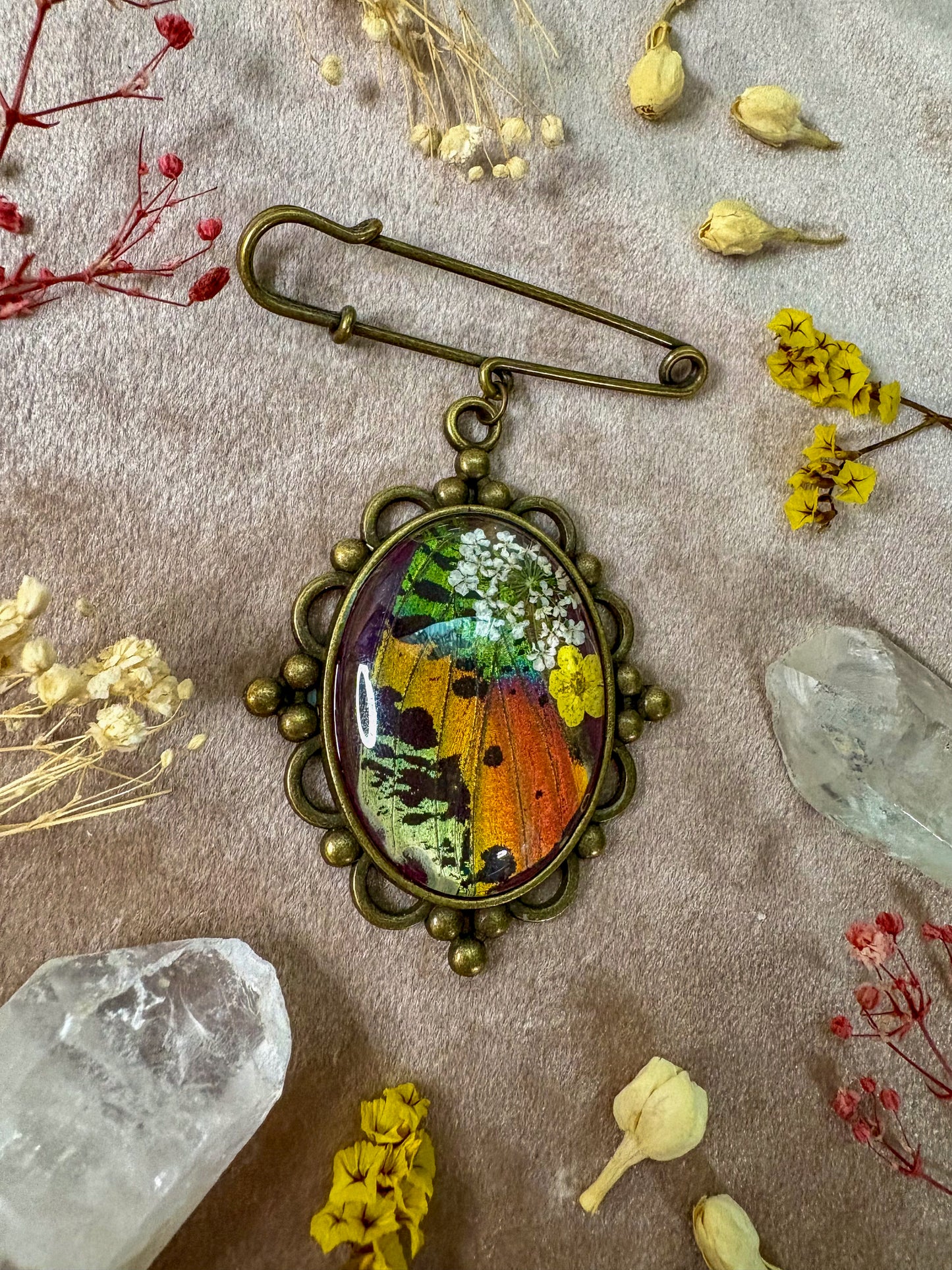 Madagascan Sunset Moth Brooch (large brass)