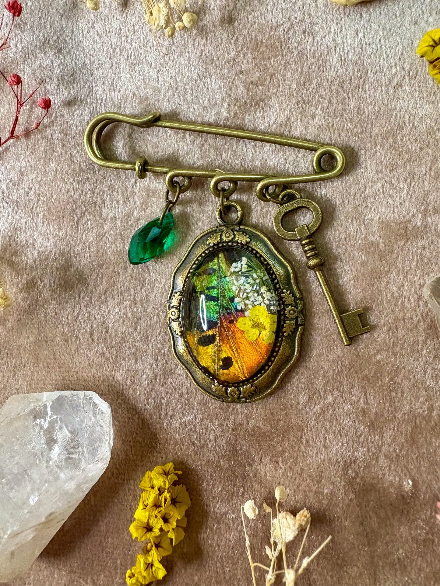 Madagascan Sunset Moth Brooch (small brass)
