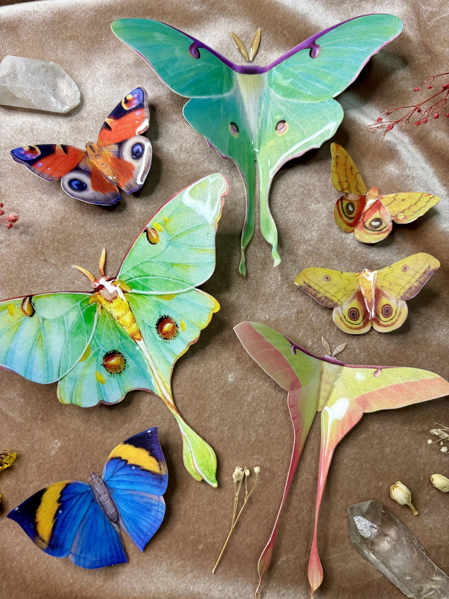 Yellow and Red Automeris Io Moth Hair Clip