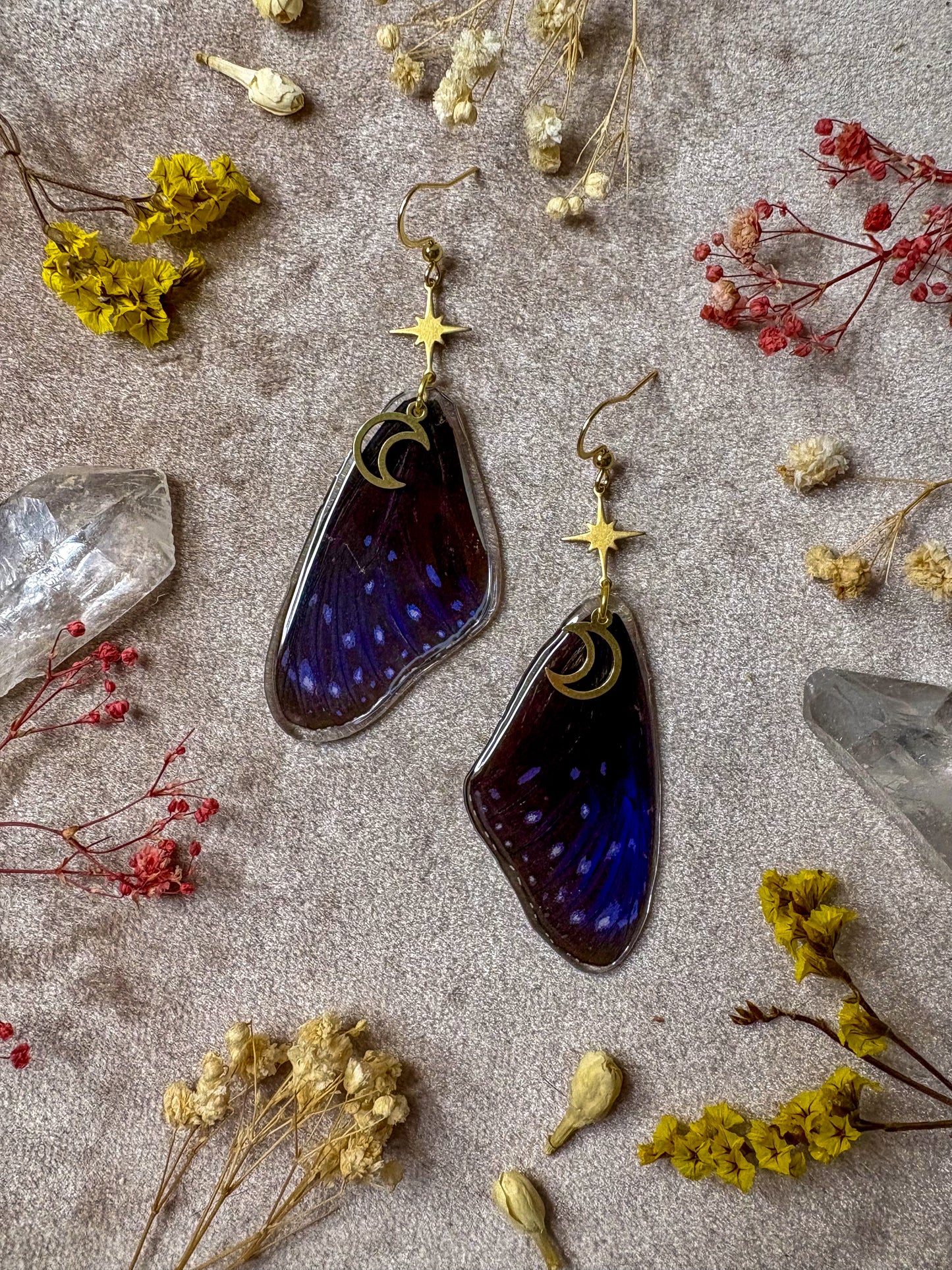 Striped Blue Crow Butterfly Wing Earrings
