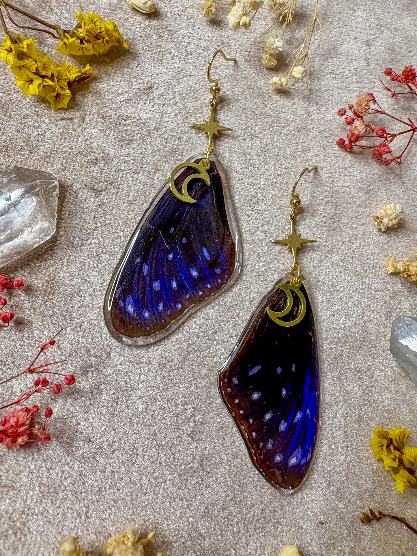 Striped Blue Crow Butterfly Wing Earrings