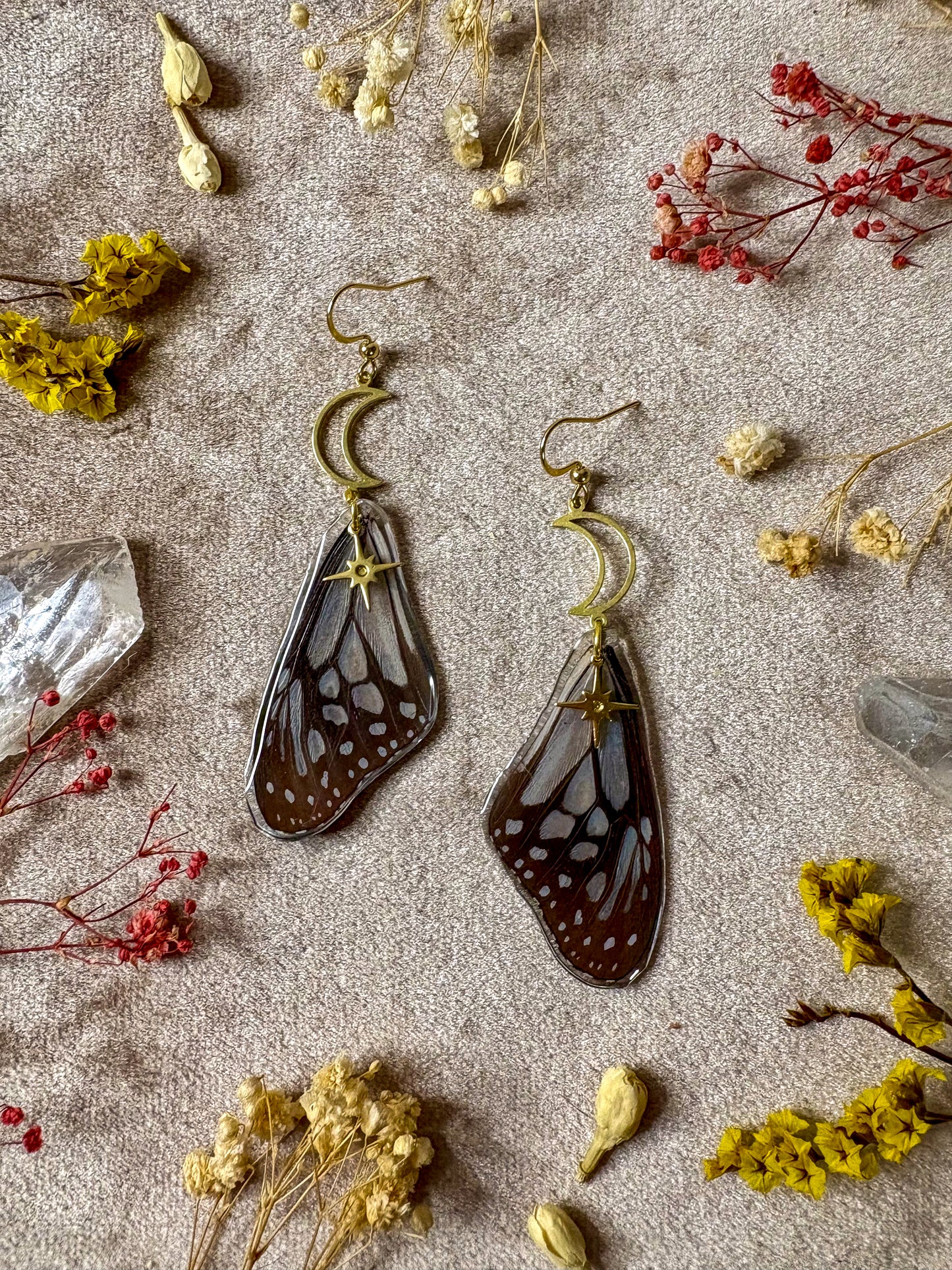 Glassy Tiger Butterfly (Top) Wing Earrings
