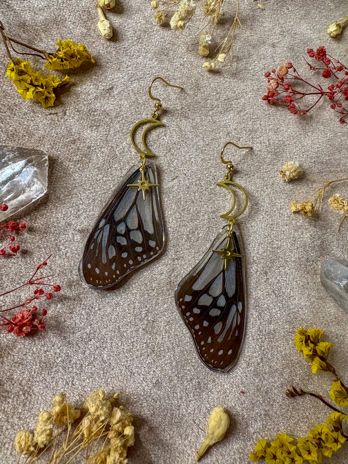 Glassy Tiger Butterfly (Top) Wing Earrings