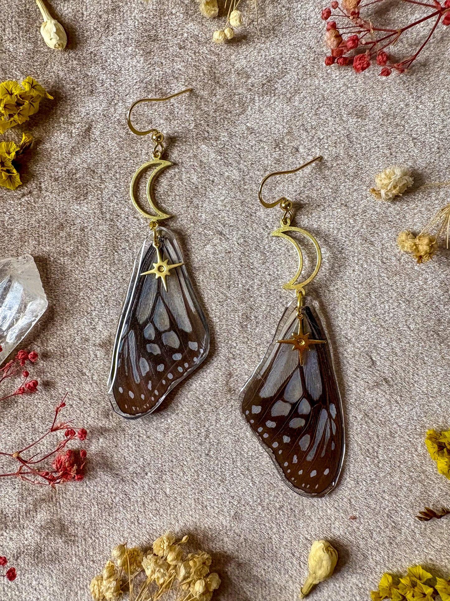 Glassy Tiger Butterfly (Top) Wing Earrings