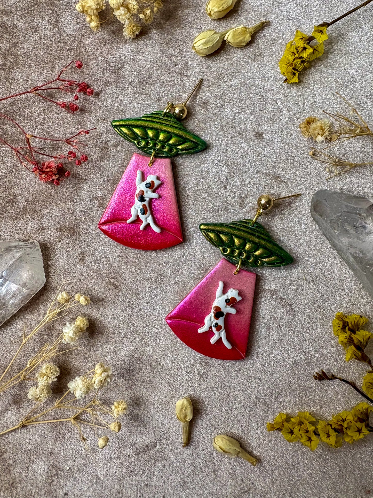 Cat Abduction Earrings (Calico)