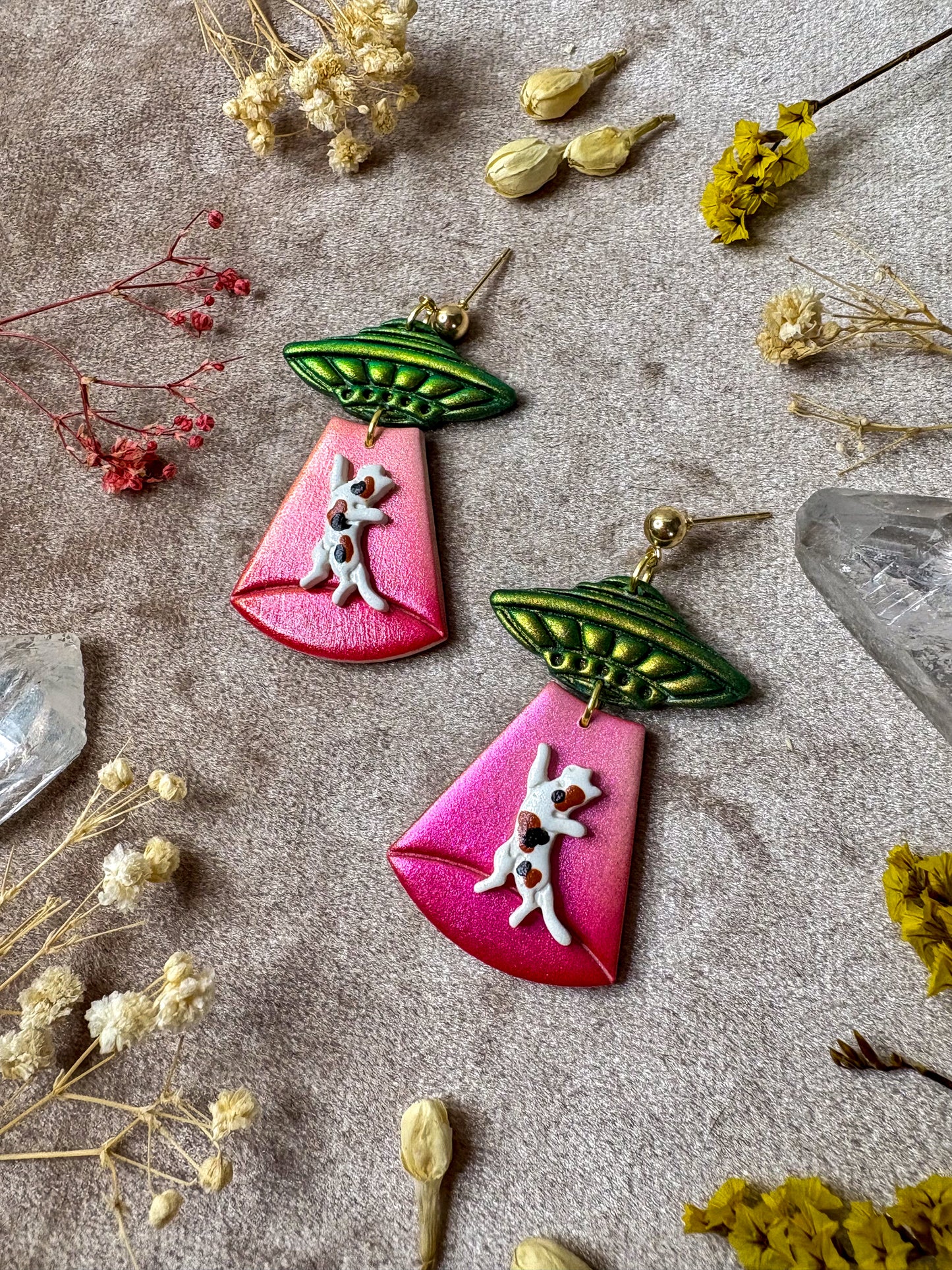 Cat Abduction Earrings (Calico)