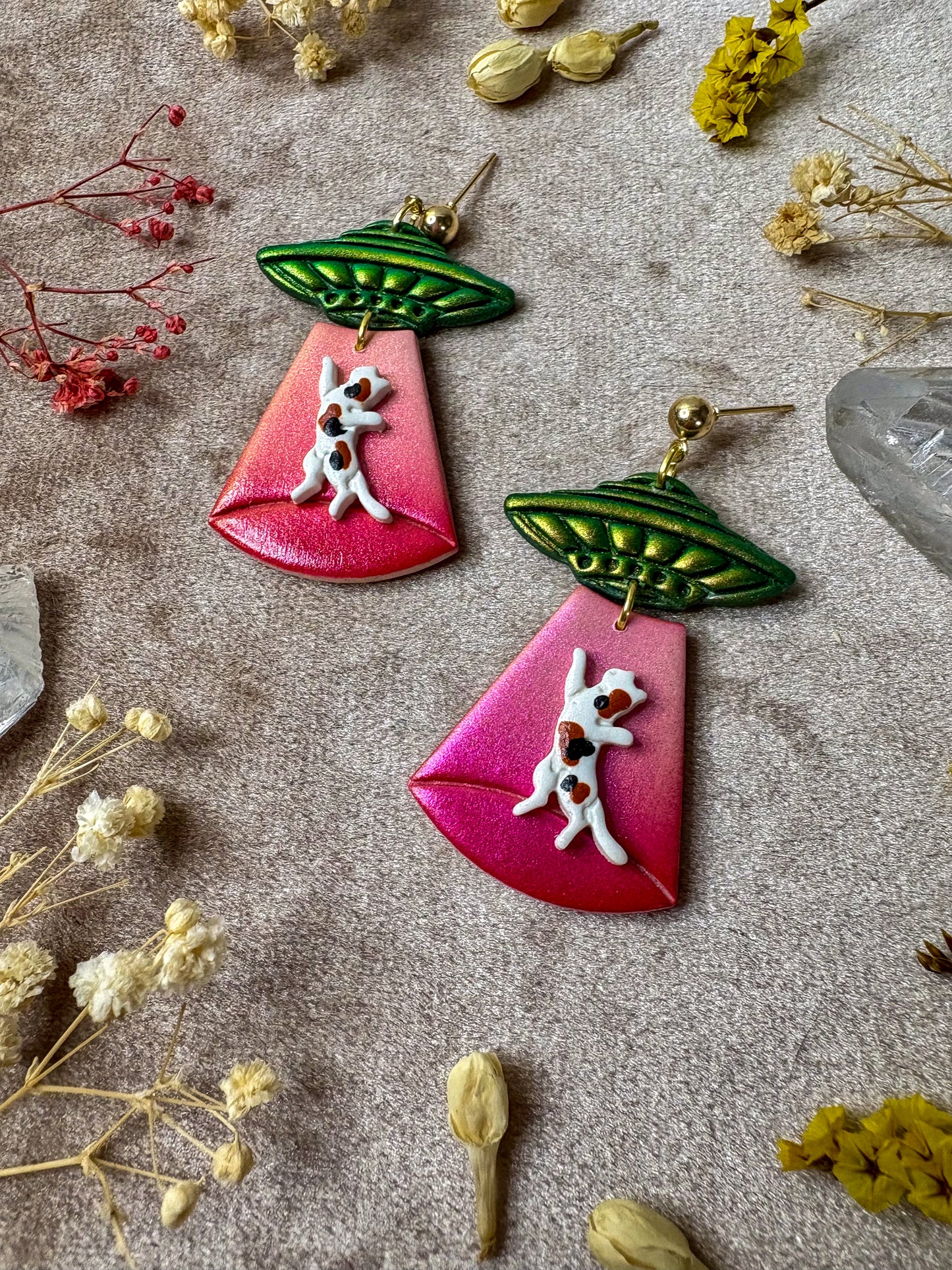 Cat Abduction Earrings (Calico)