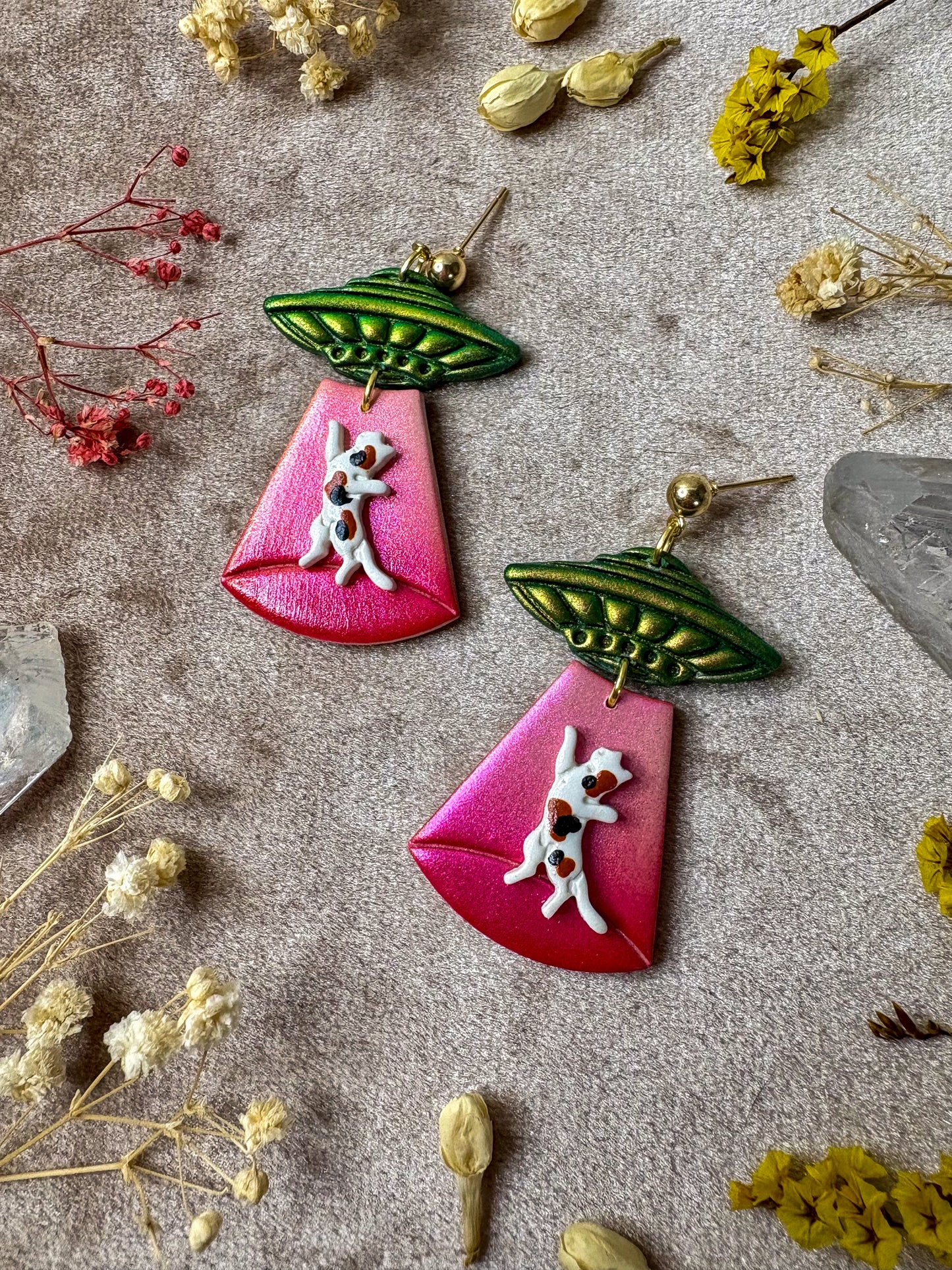 Cat Abduction Earrings (Calico)