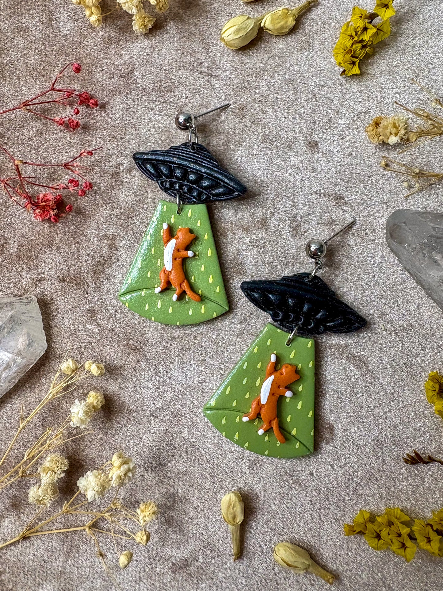 Cat Abduction Earrings (Tabby)