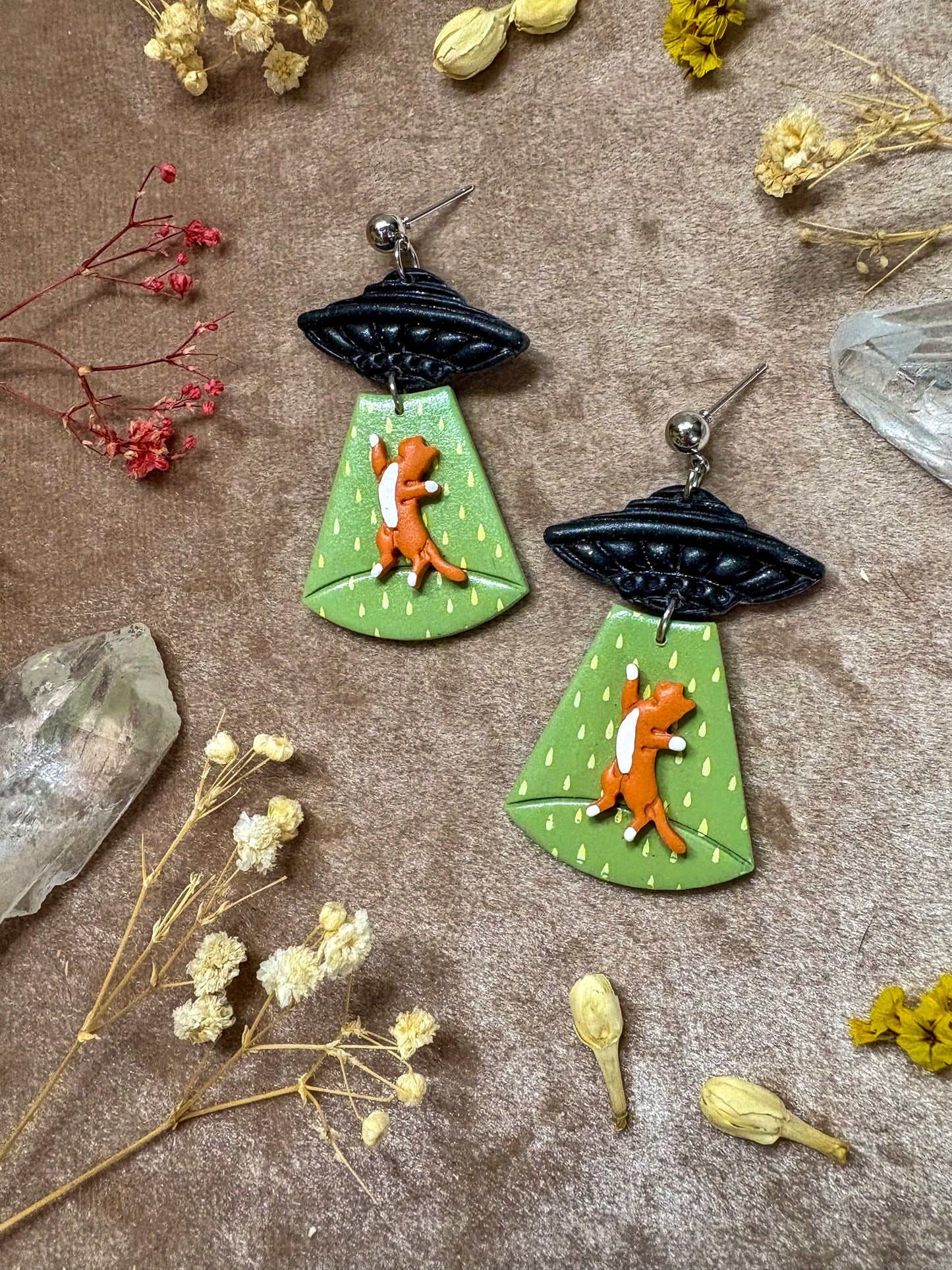 Cat Abduction Earrings (Tabby)