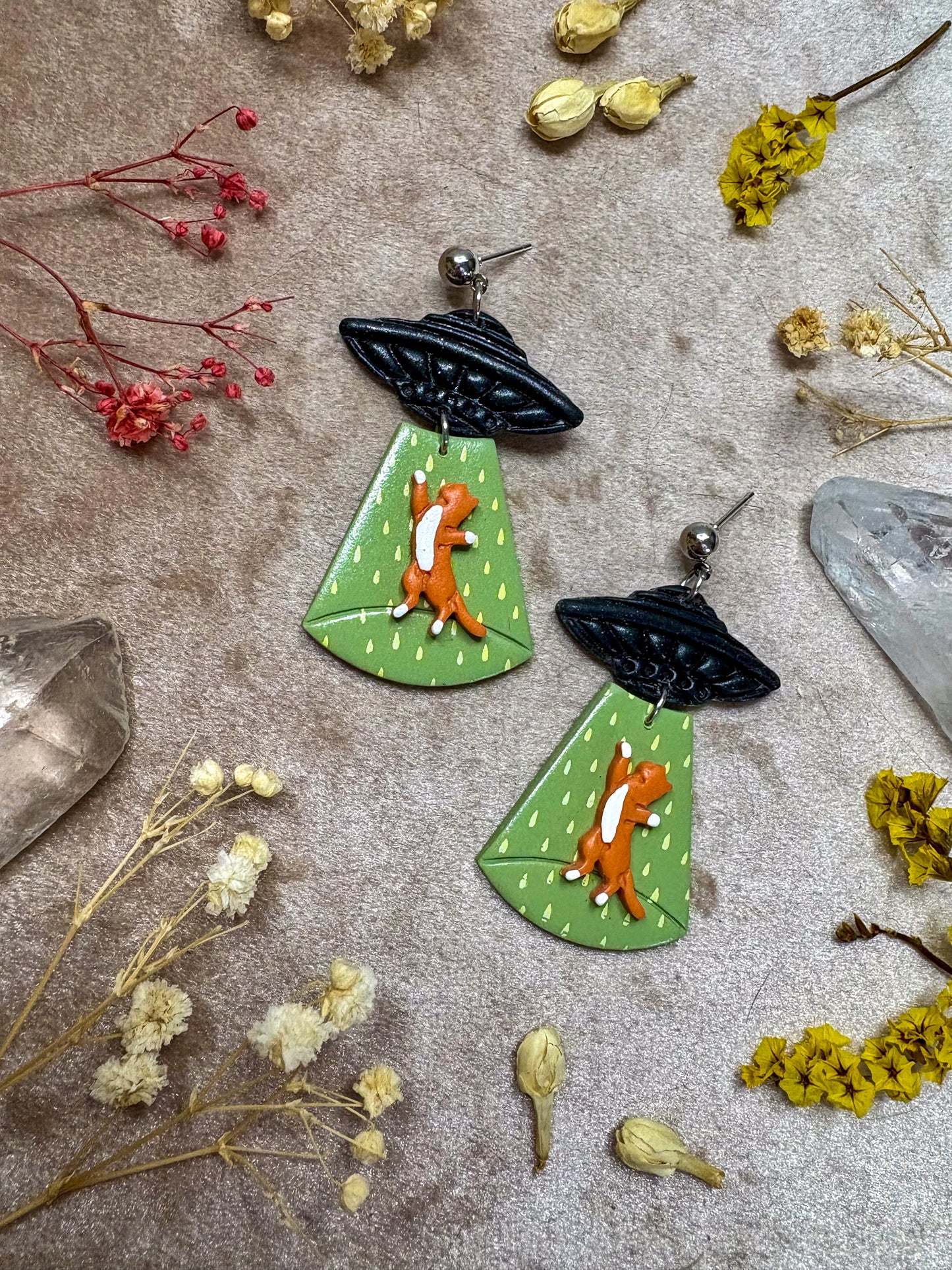 Cat Abduction Earrings (Tabby)