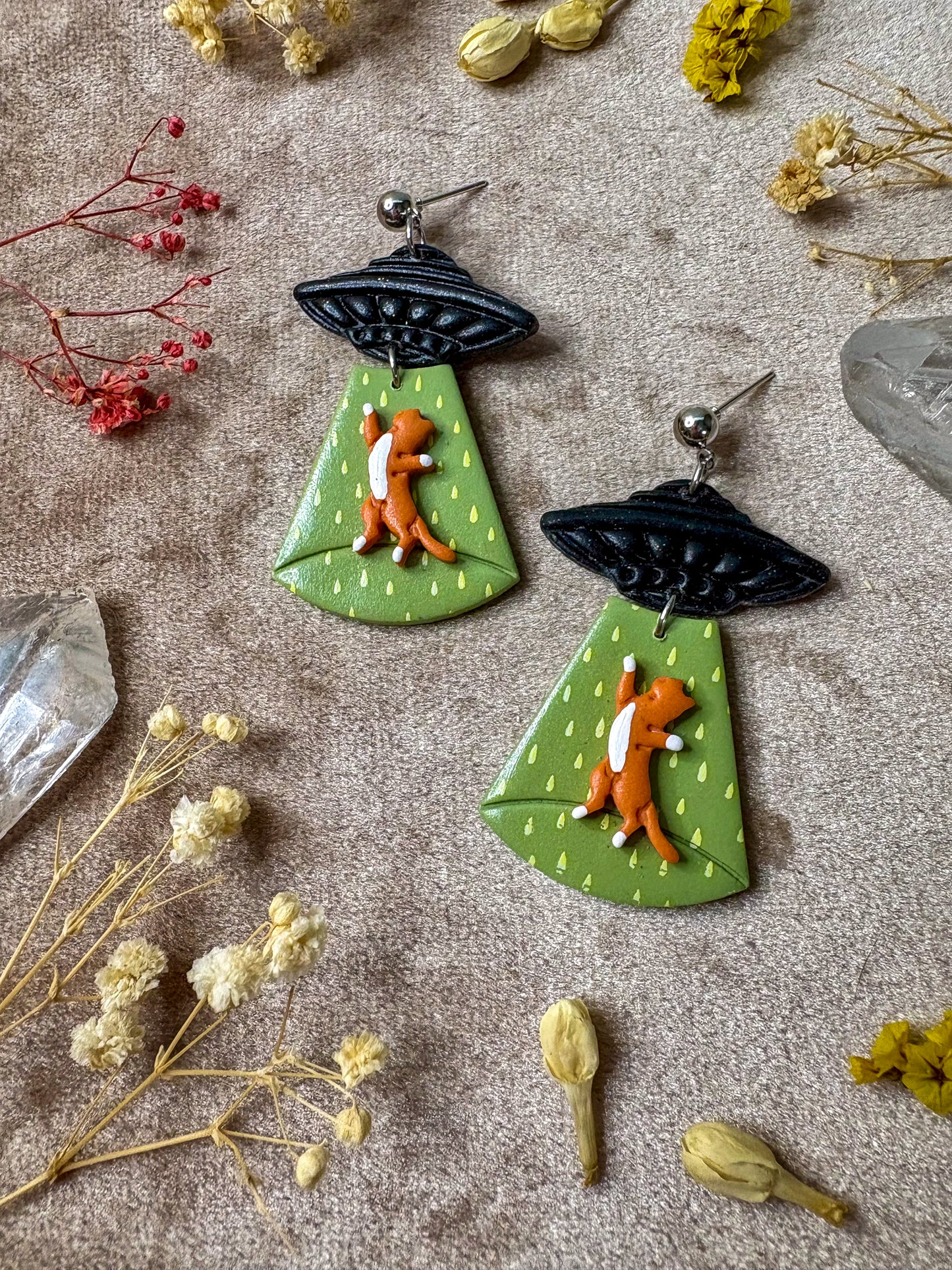 Cat Abduction Earrings (Tabby)