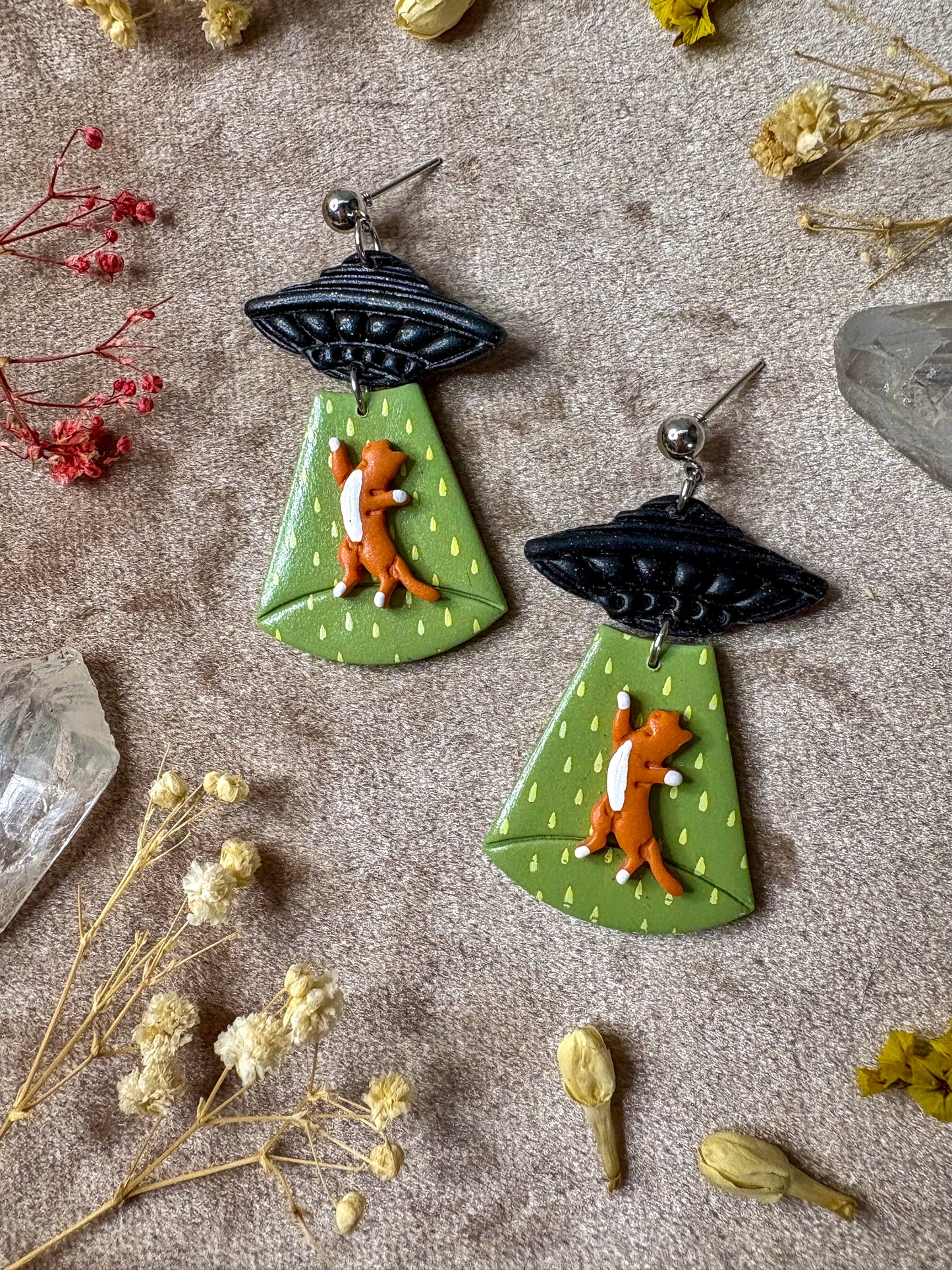 Cat Abduction Earrings (Tabby)