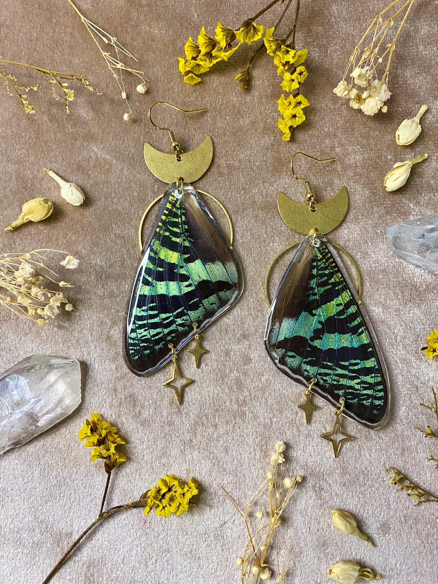 real butterfly moth sunset madagascan green resin wing dangle earrings