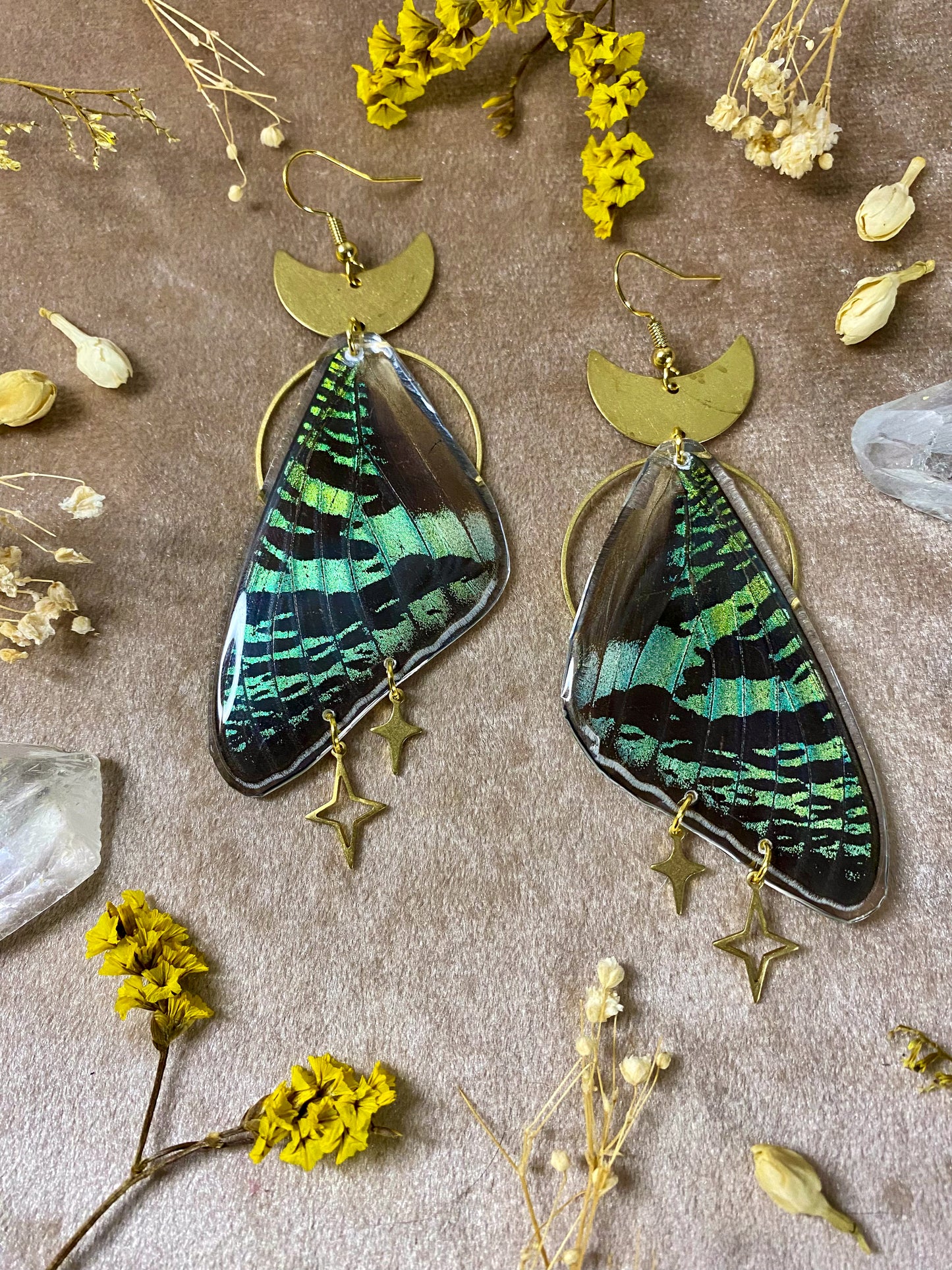Madagascan Green Sunset Moth Earrings