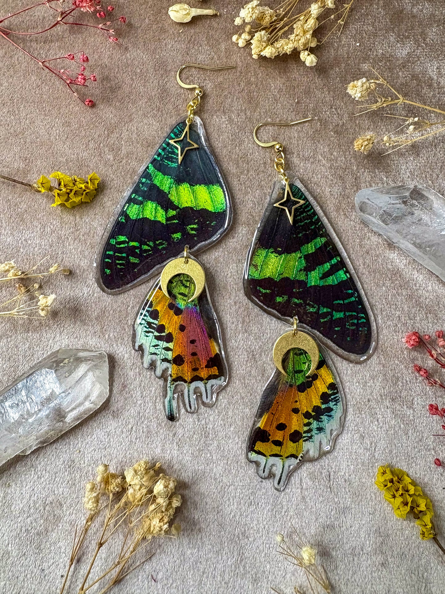 Double Madagascan Sunset Moth Earrings