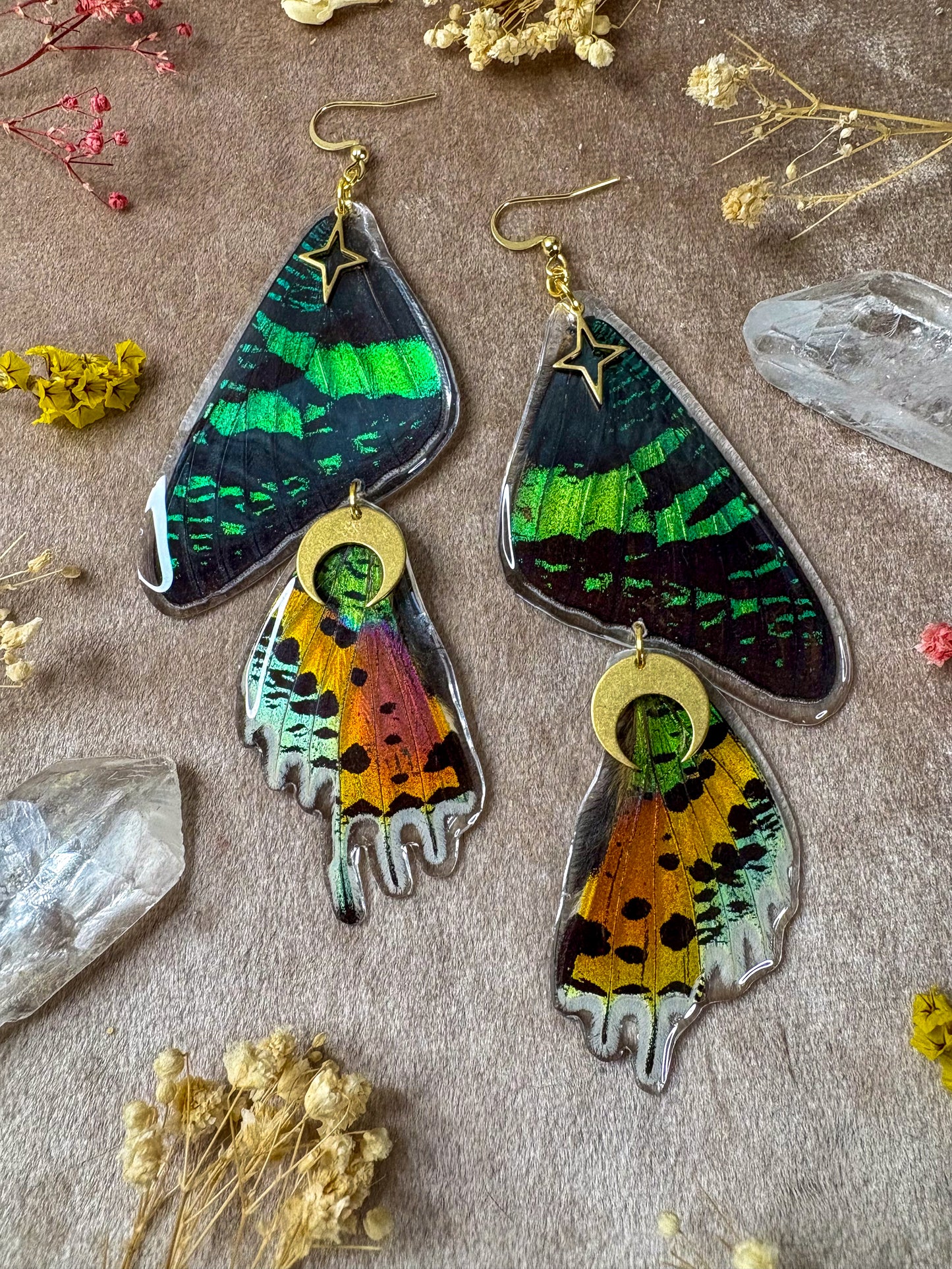 Double Madagascan Sunset Moth Earrings