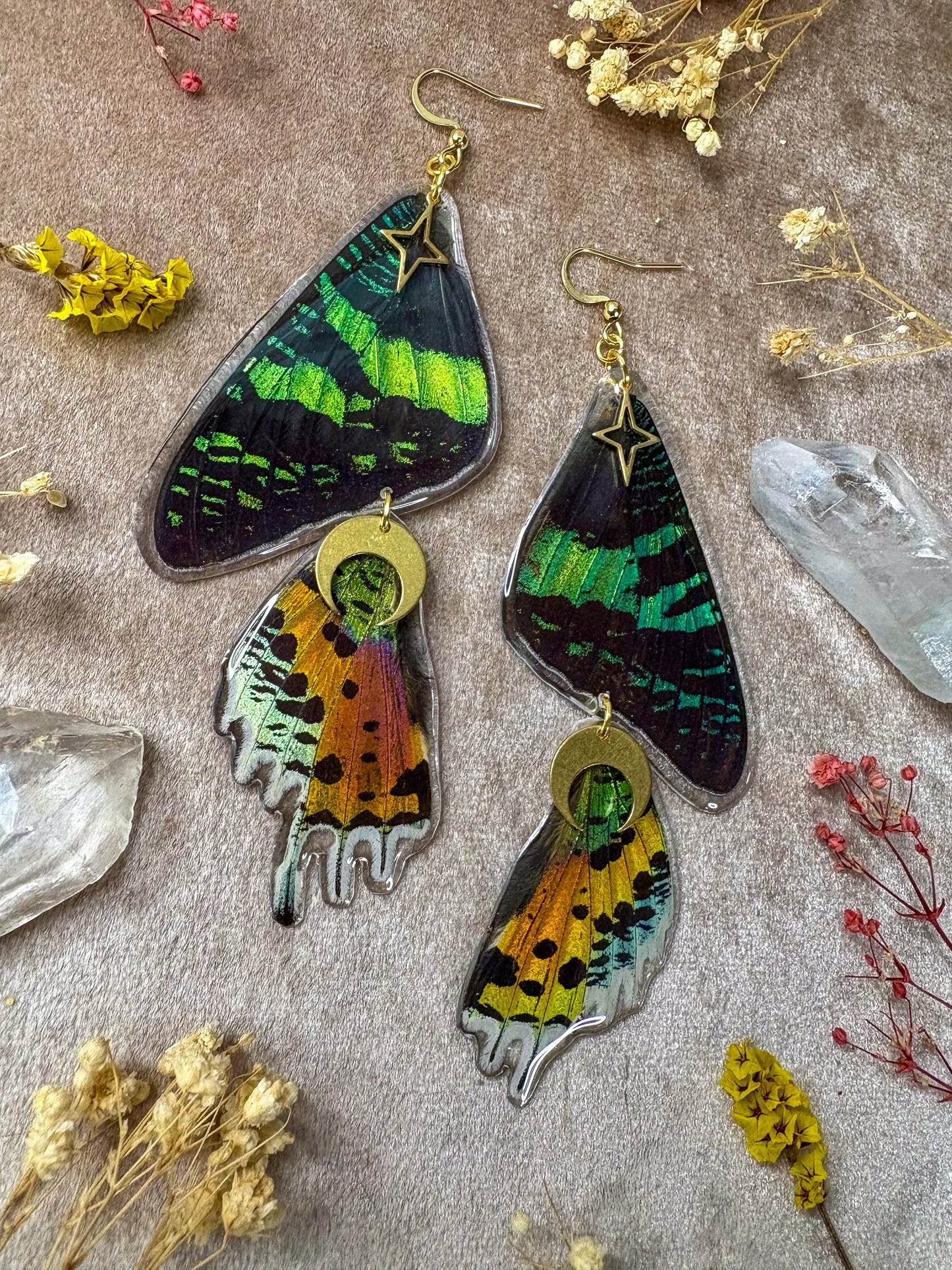 Double Madagascan Sunset Moth Earrings