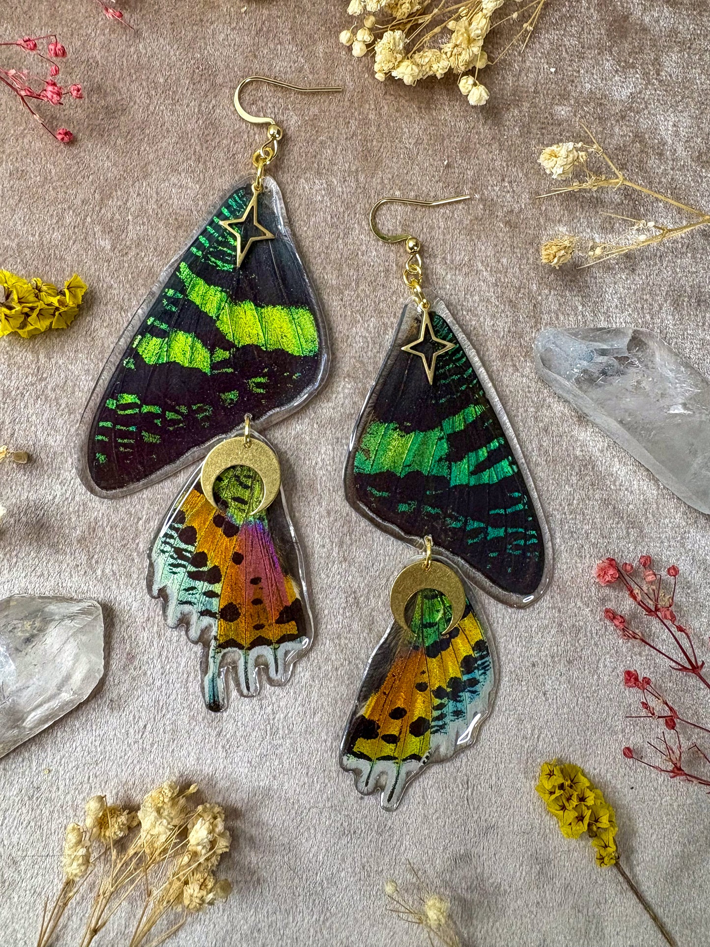 Double Madagascan Sunset Moth Earrings