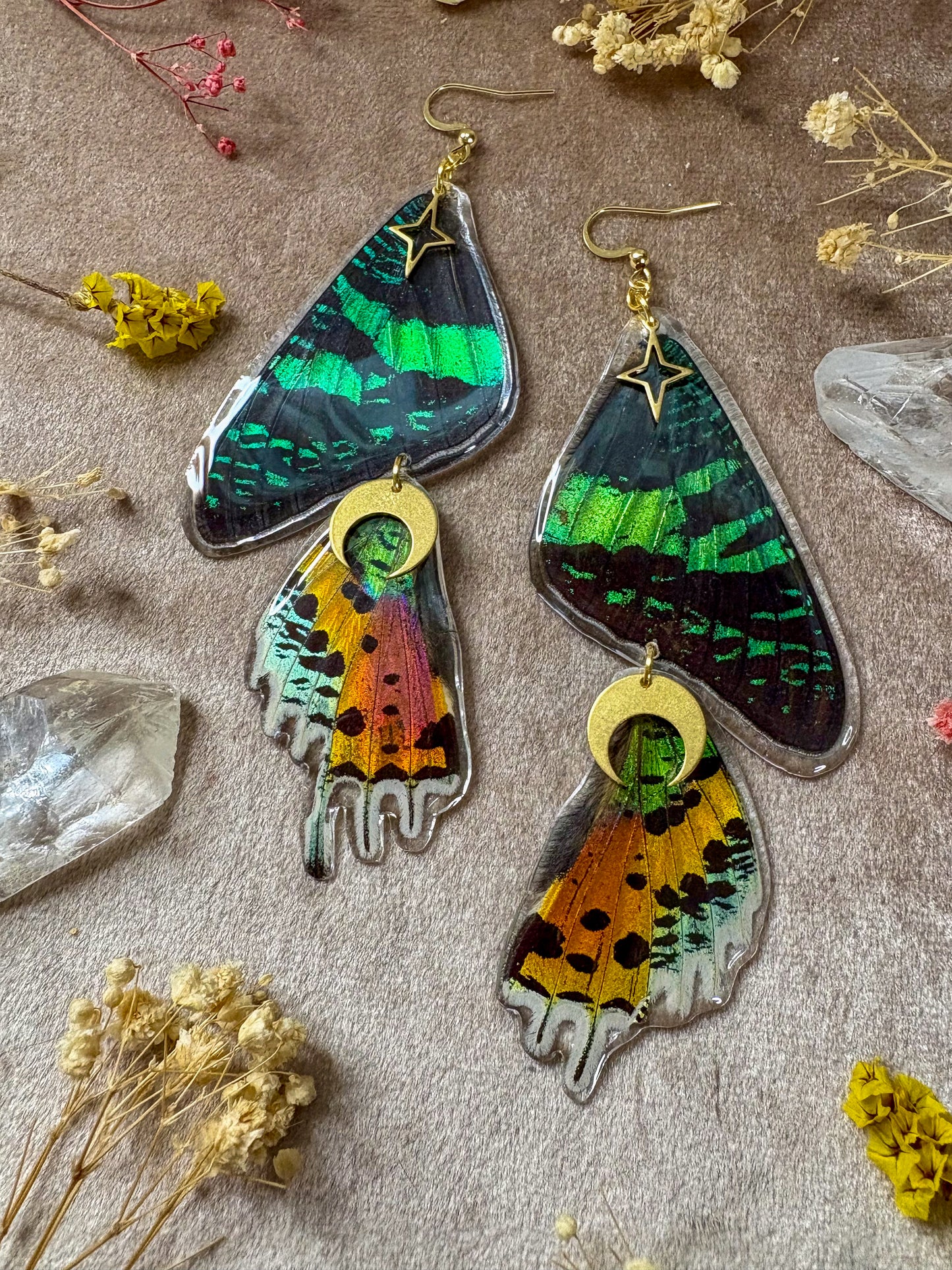 Double Madagascan Sunset Moth Earrings
