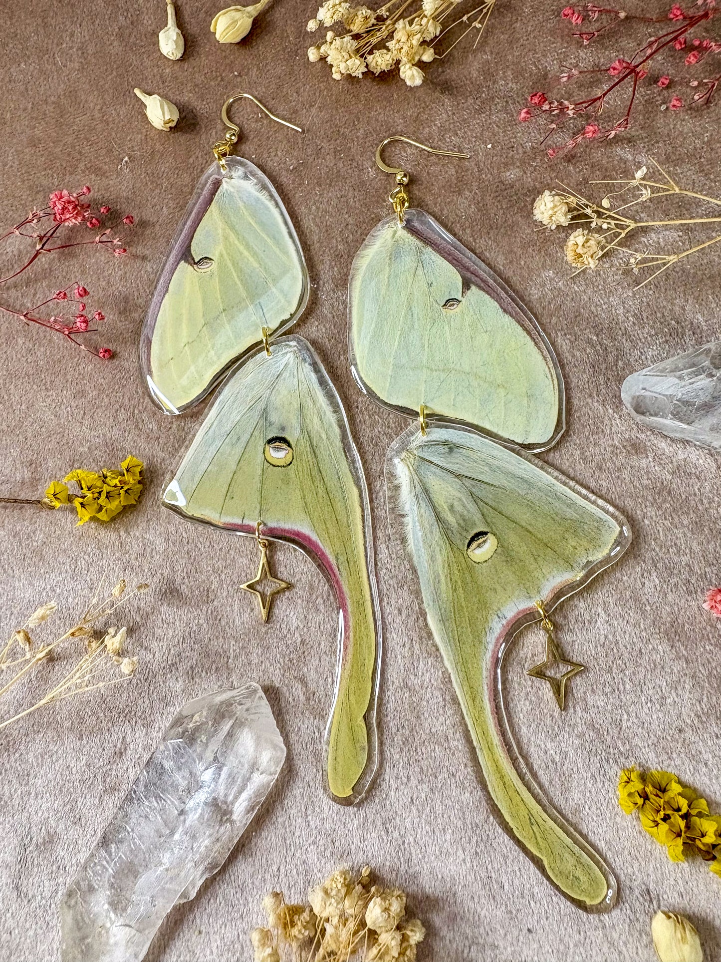 Double Luna Moth Earrings