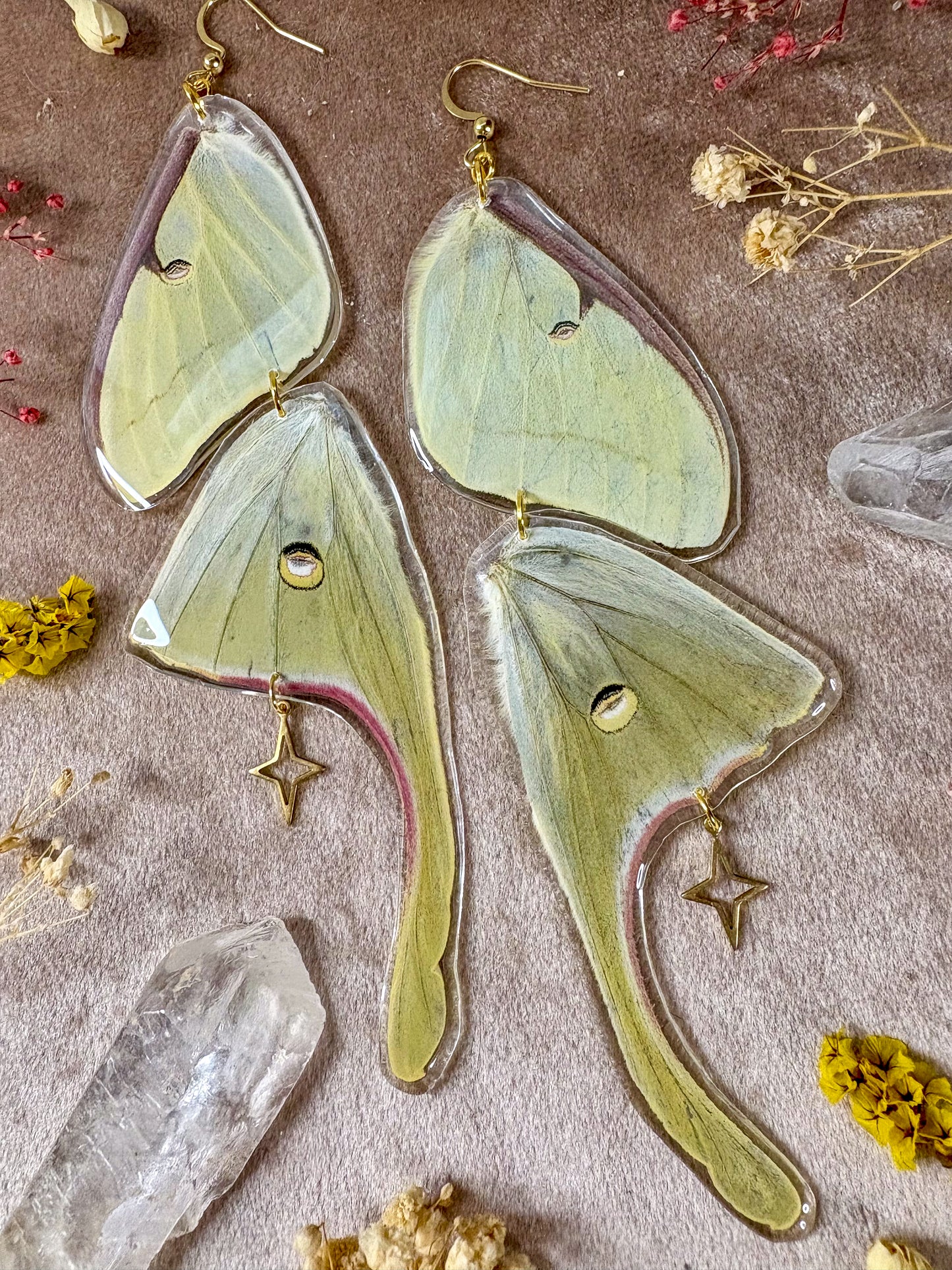 Double Luna Moth Earrings
