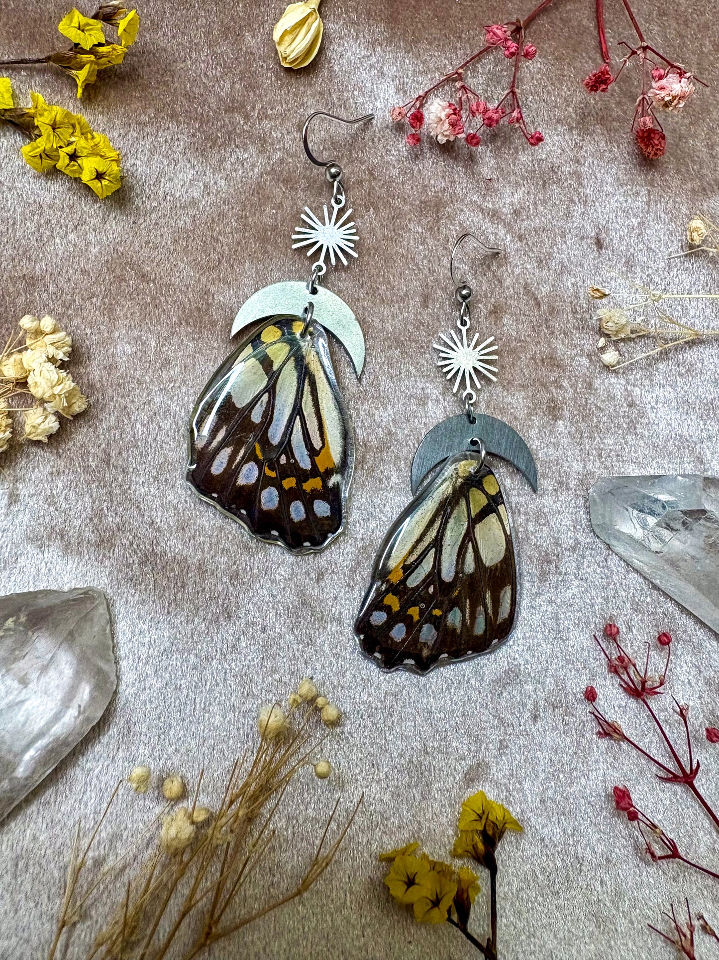 Black and White Asian Swallowtail Butterfly Wing Earrings (Top Wings)