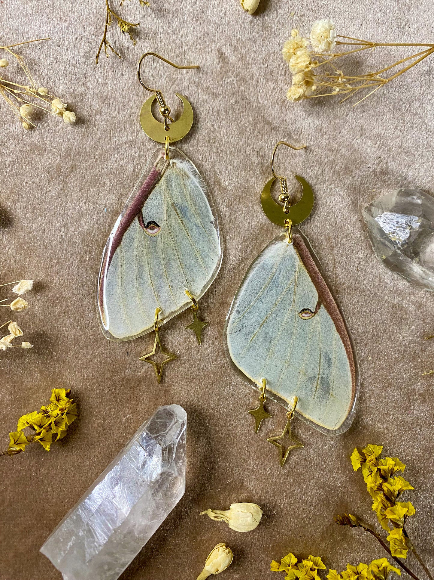 Luna Moth Earrings