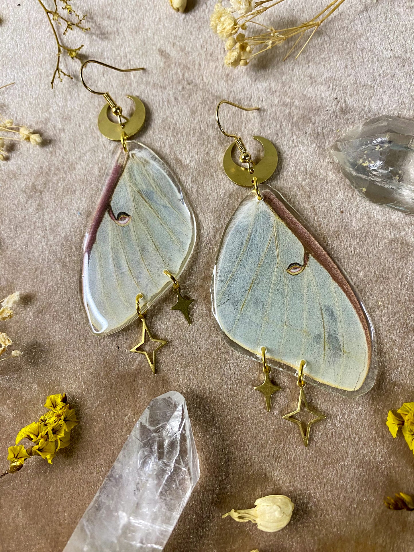 Luna Moth Earrings