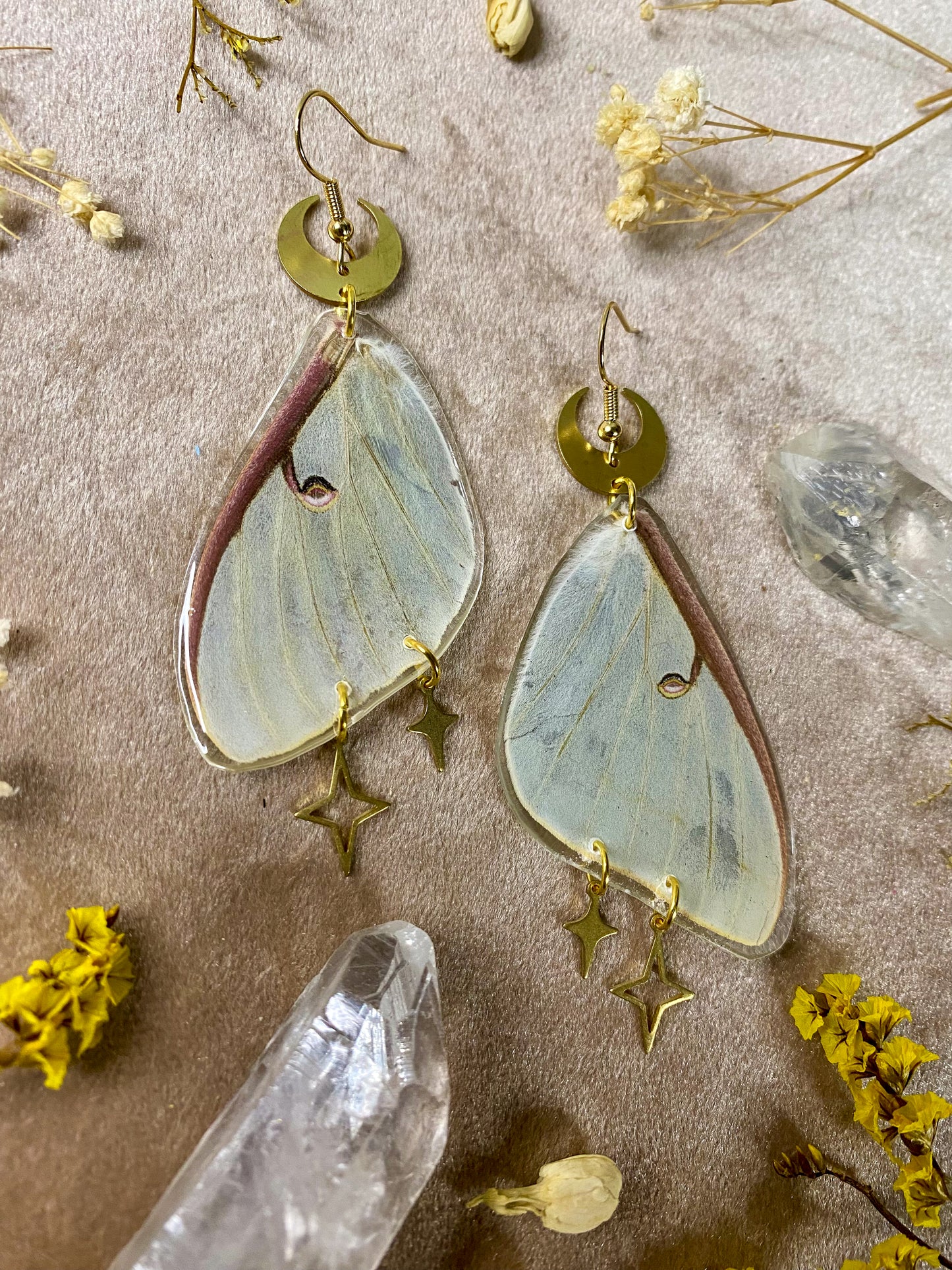 Luna Moth Earrings