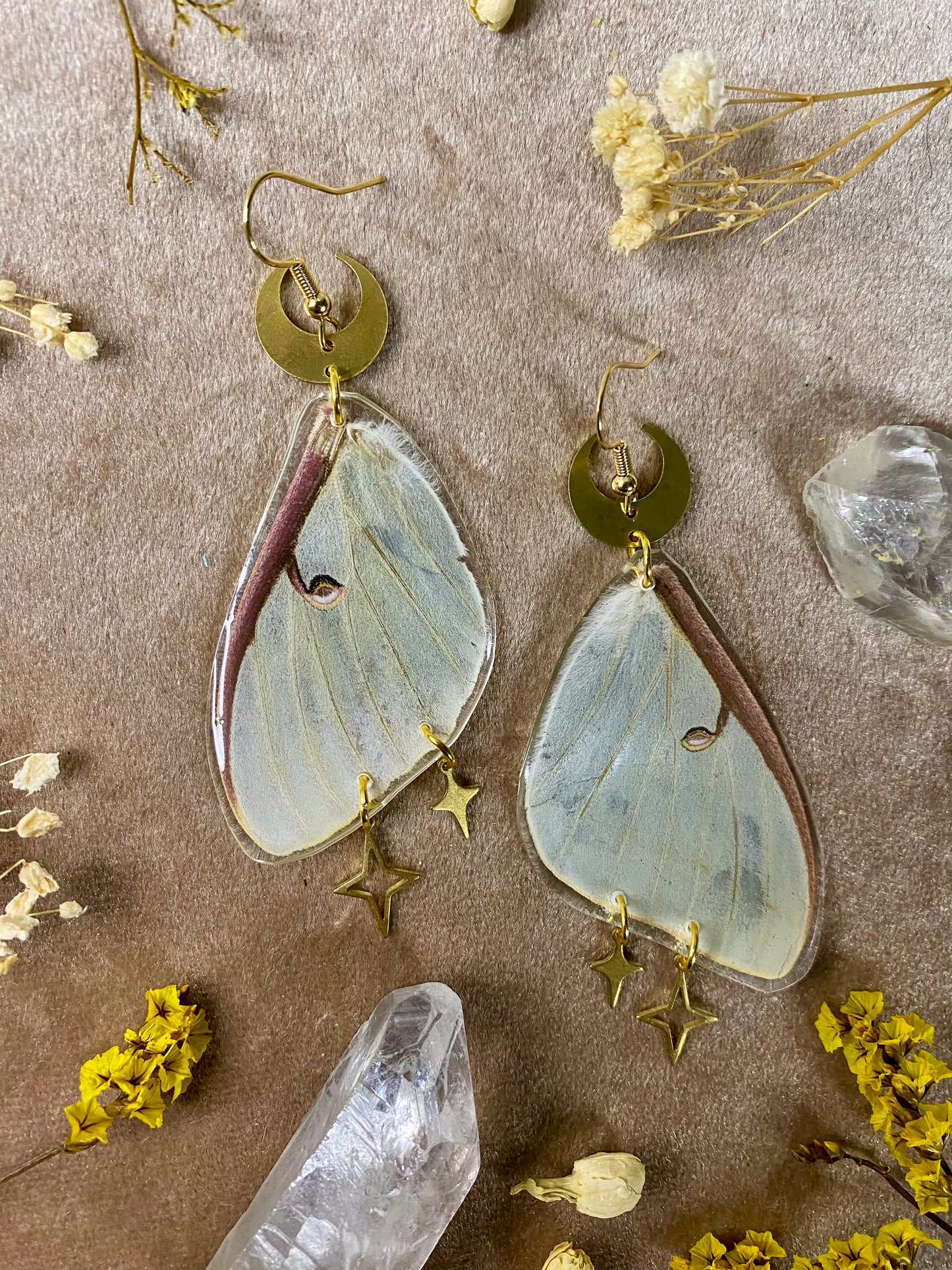 Luna Moth Earrings