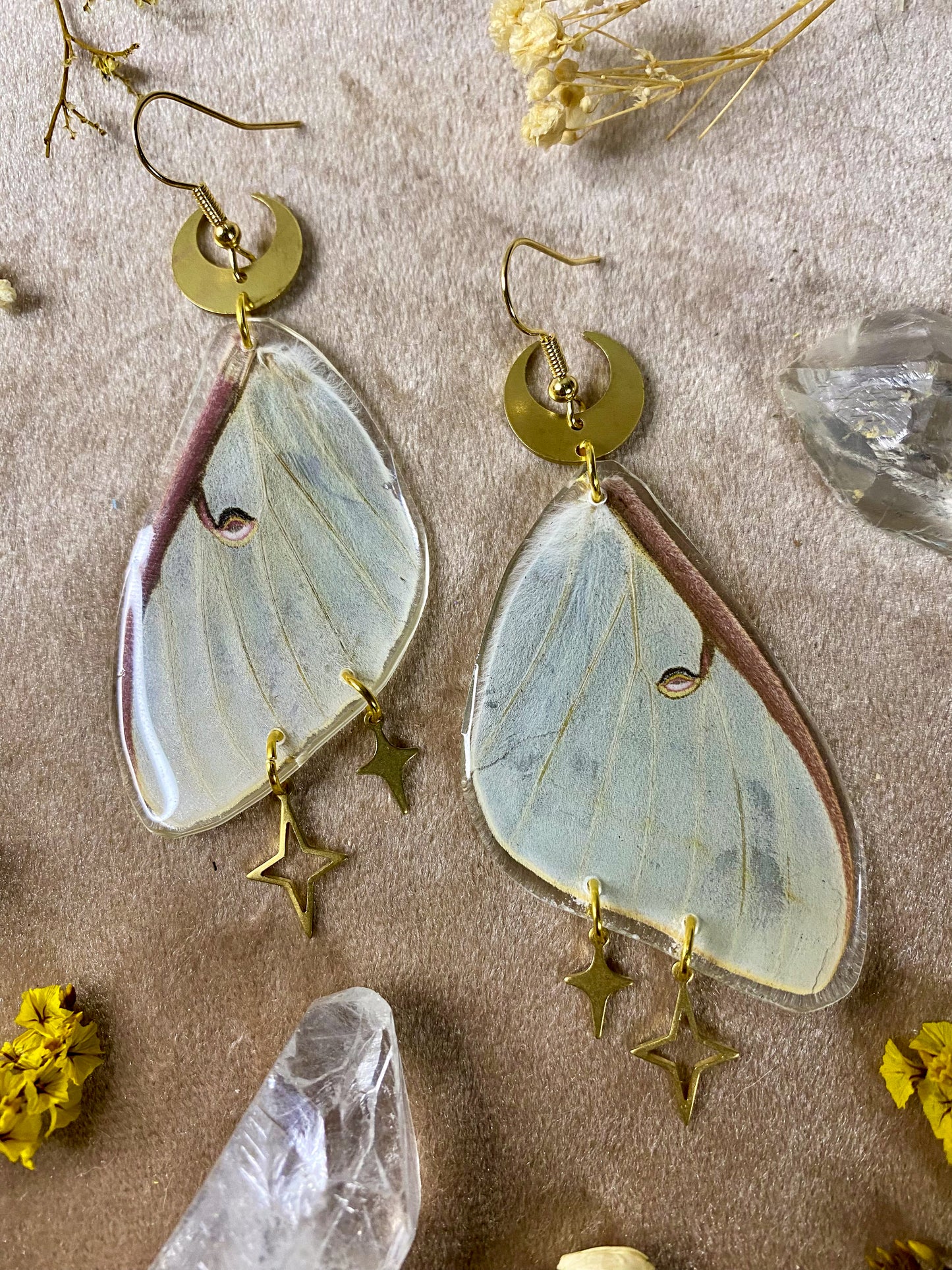 Luna Moth Earrings