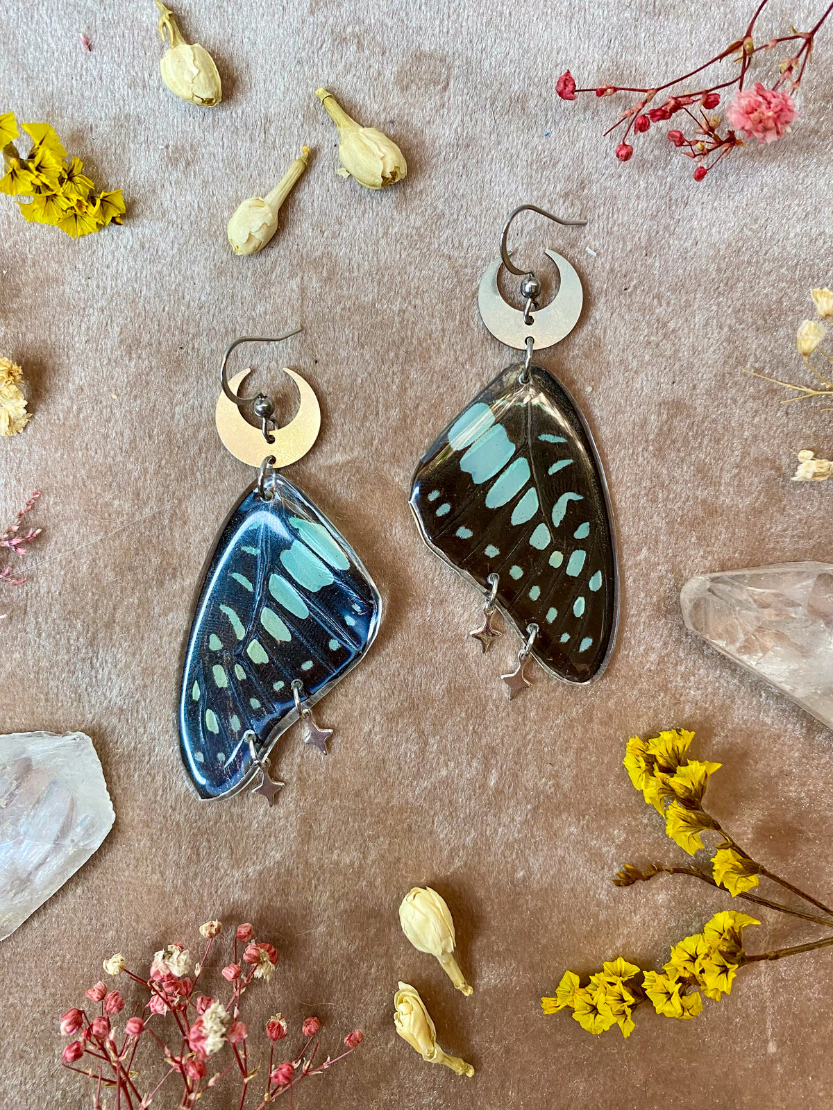 Common Jay Butterfly Wing Earrings