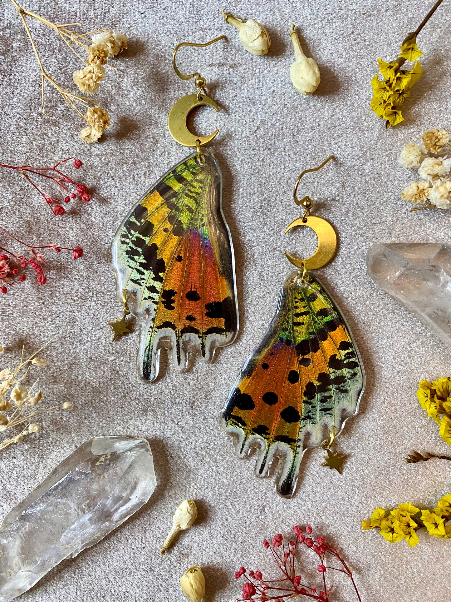 Madagascan Sunset Moth Earrings