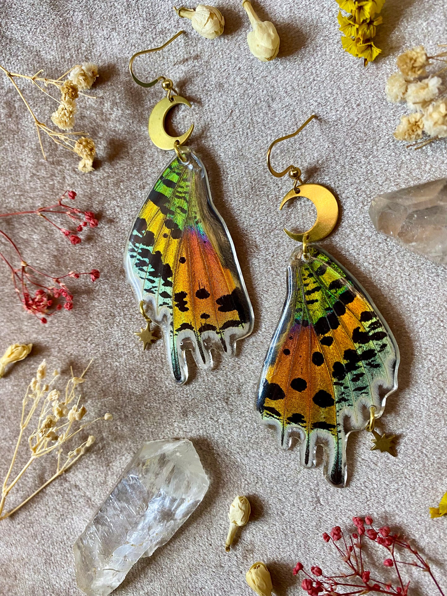 Madagascan Sunset Moth Earrings