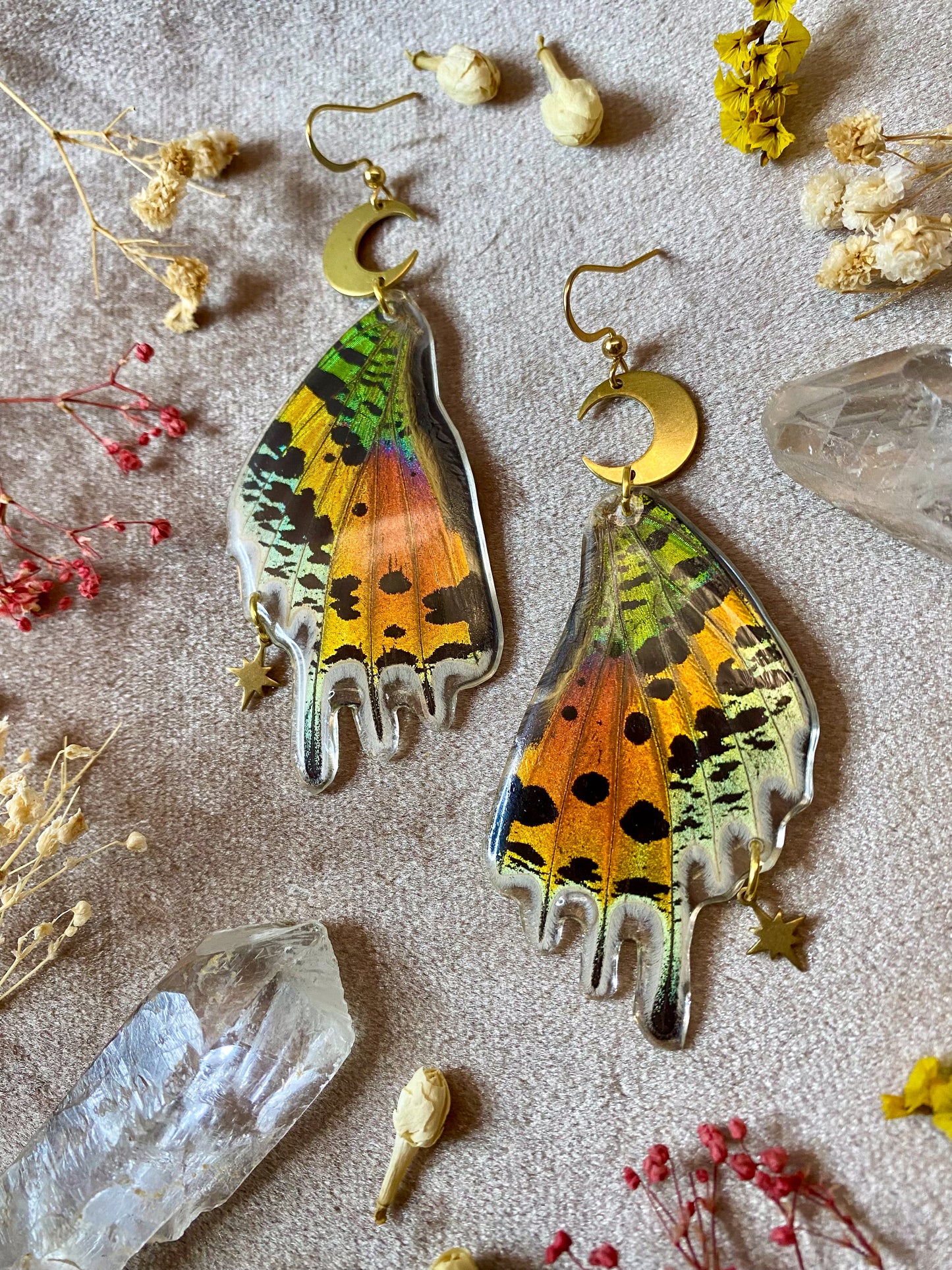 Madagascan Sunset Moth Earrings