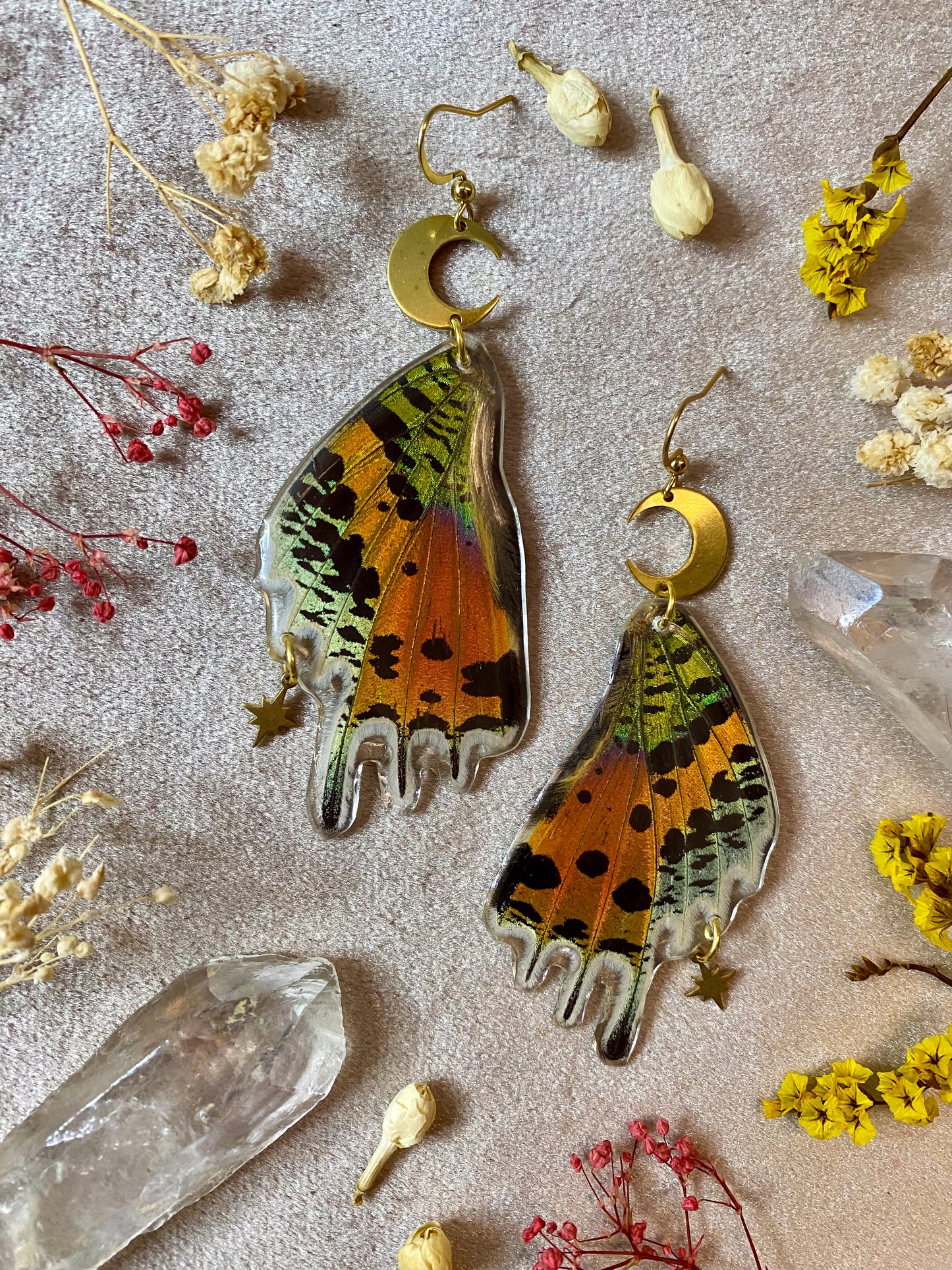 Madagascan Sunset Moth Earrings