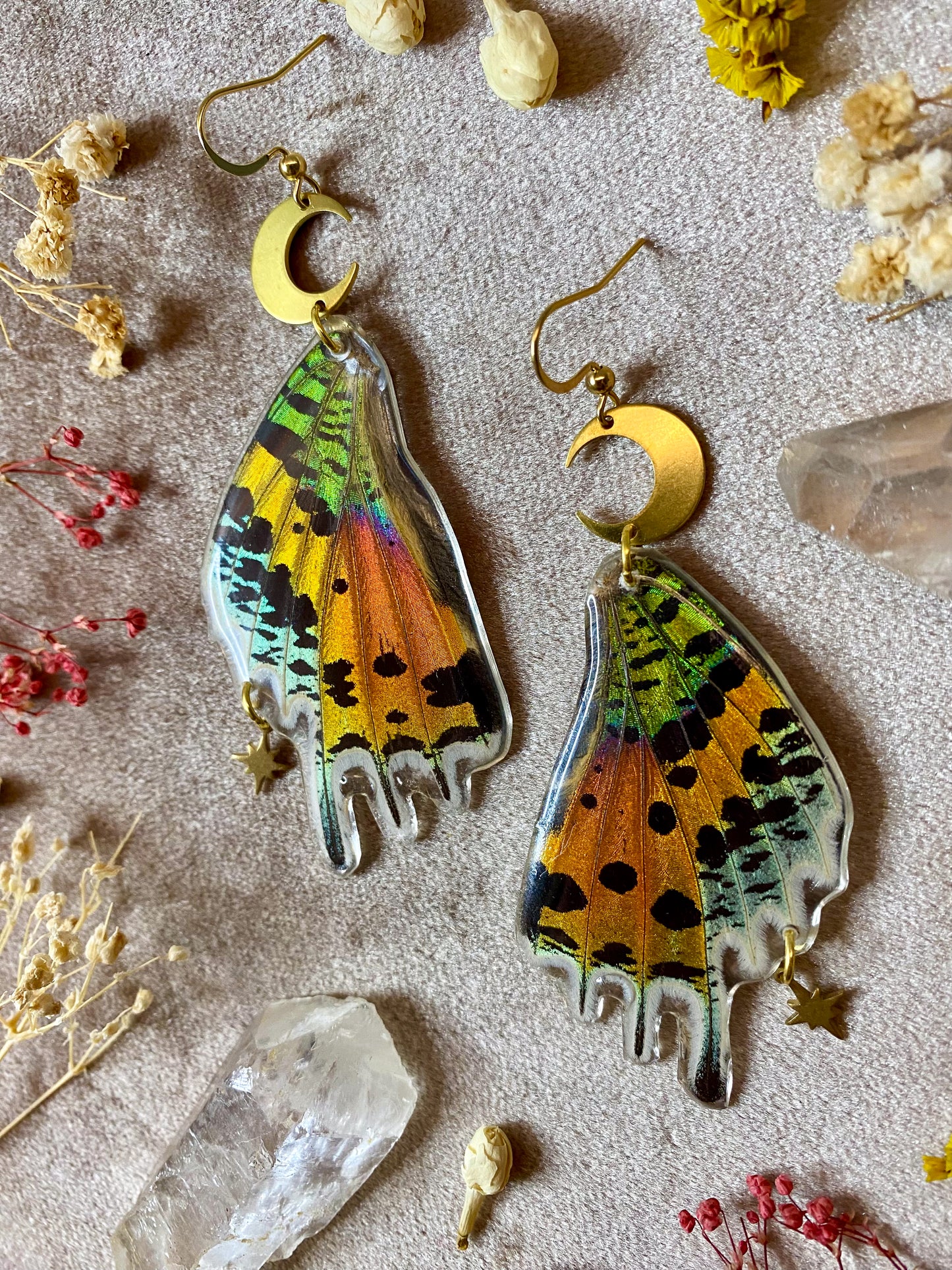 Madagascan Sunset Moth Earrings