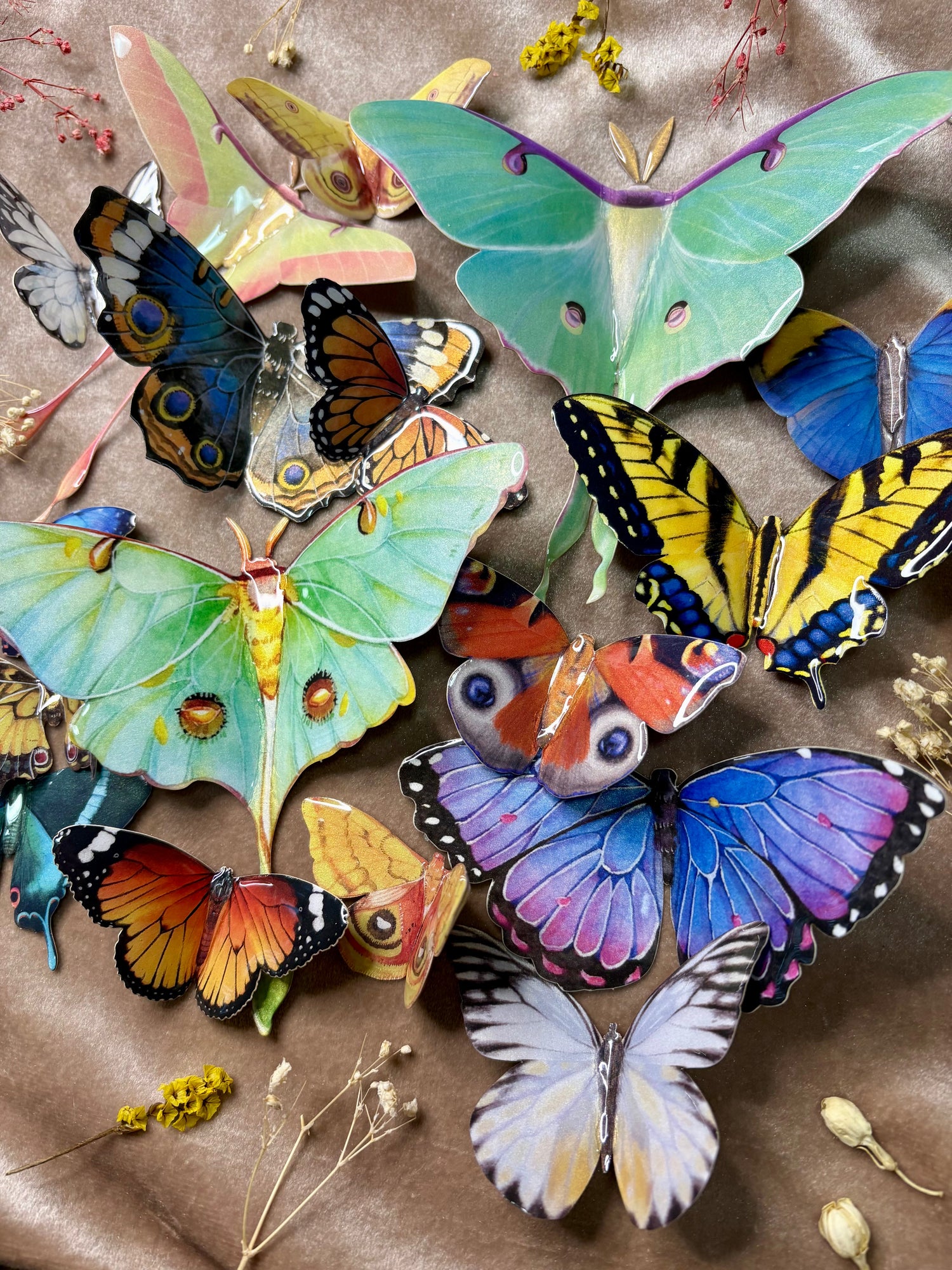 butterfly and moth resin hair alligator clip