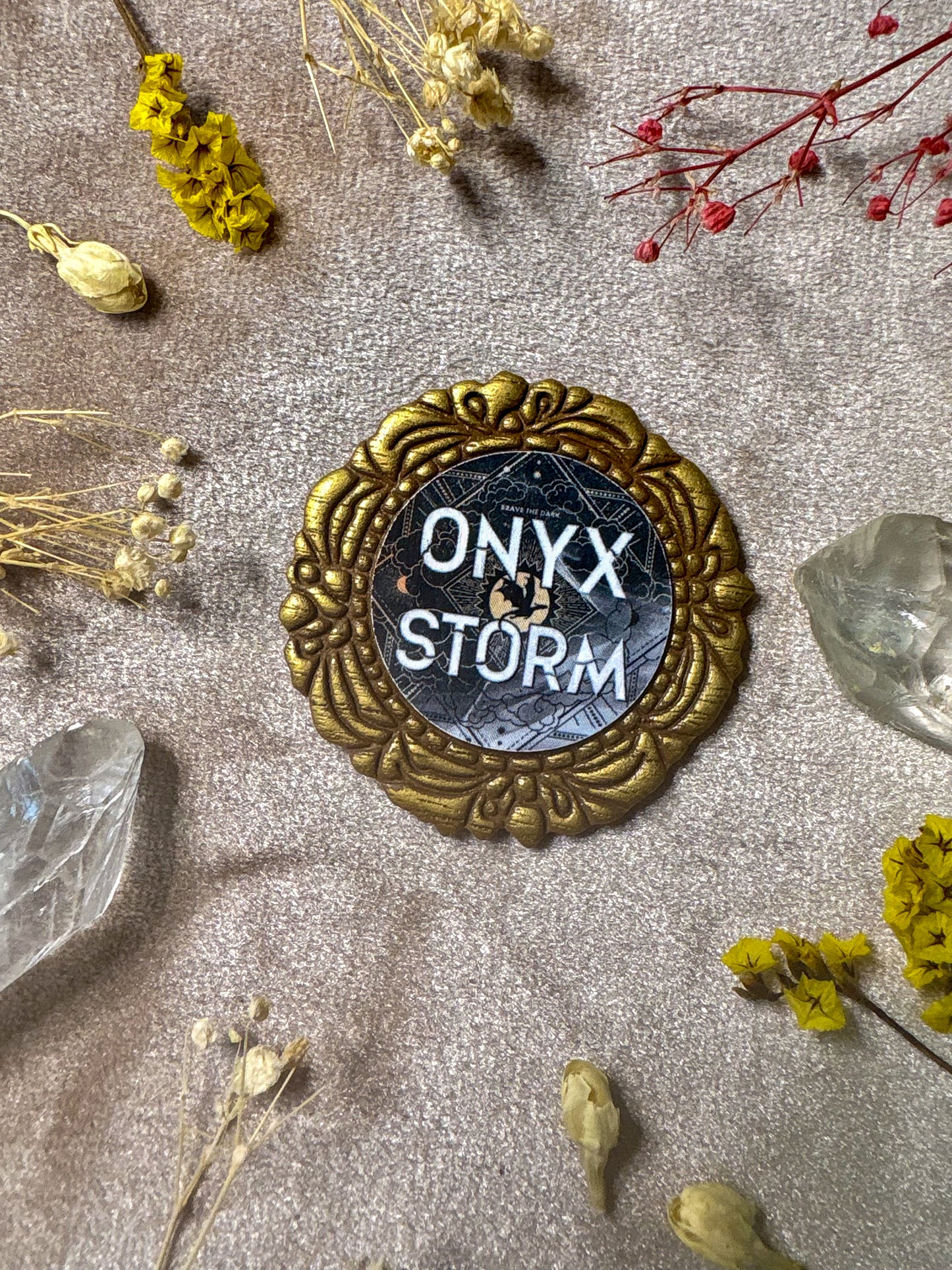 Onyx Storm Book Pin