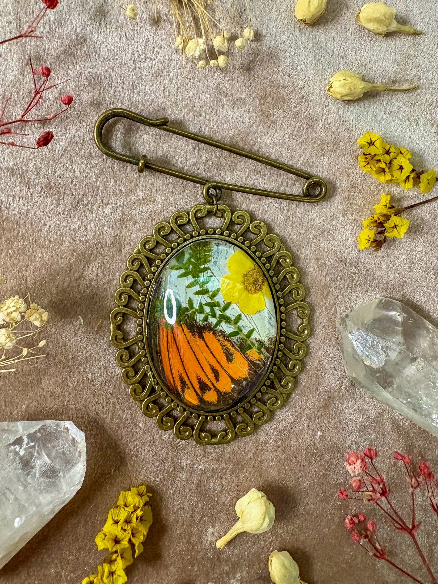 Great Orange Tip Butterfly Brooch (large brass)