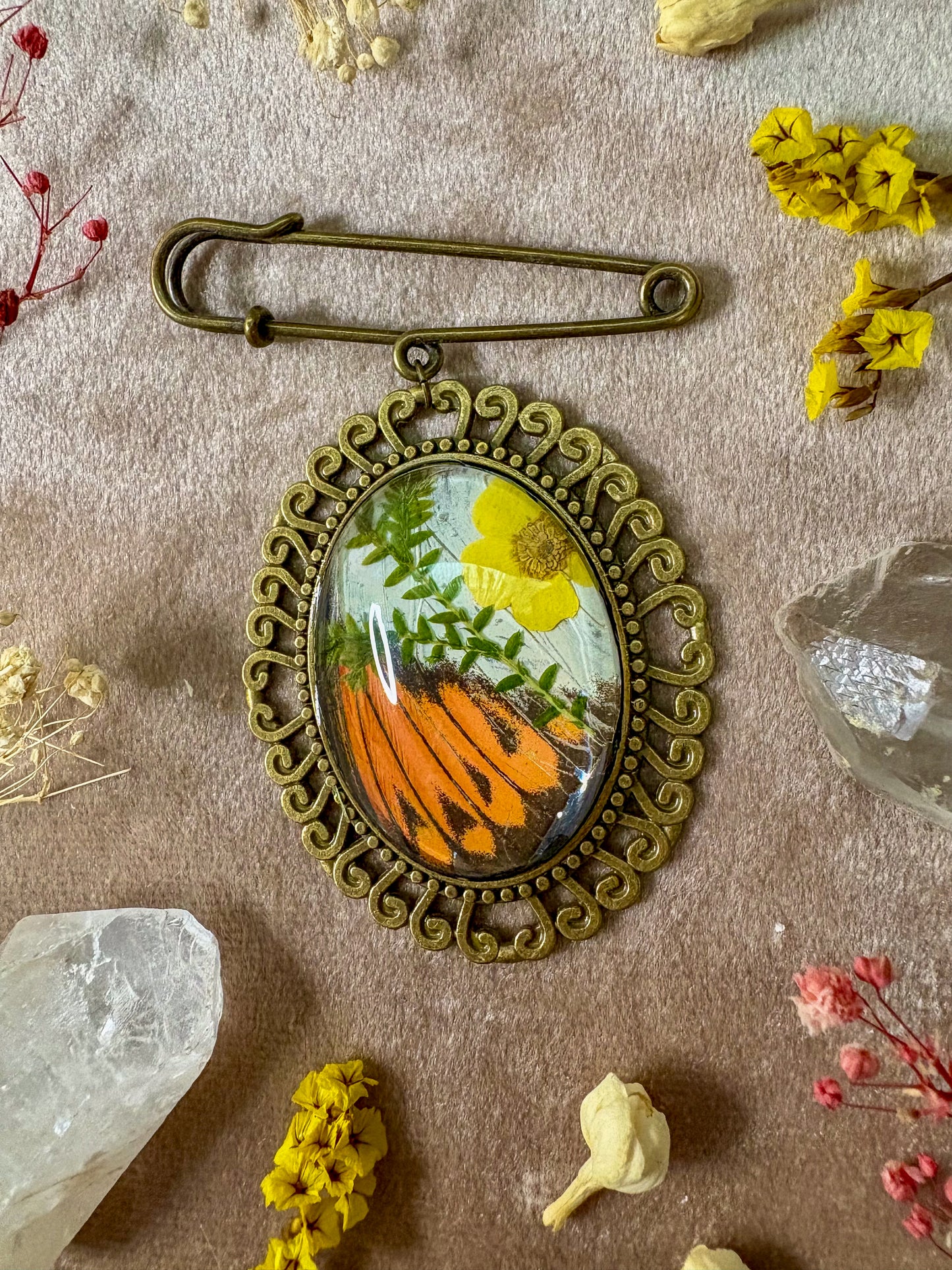 Great Orange Tip Butterfly Brooch (large brass)