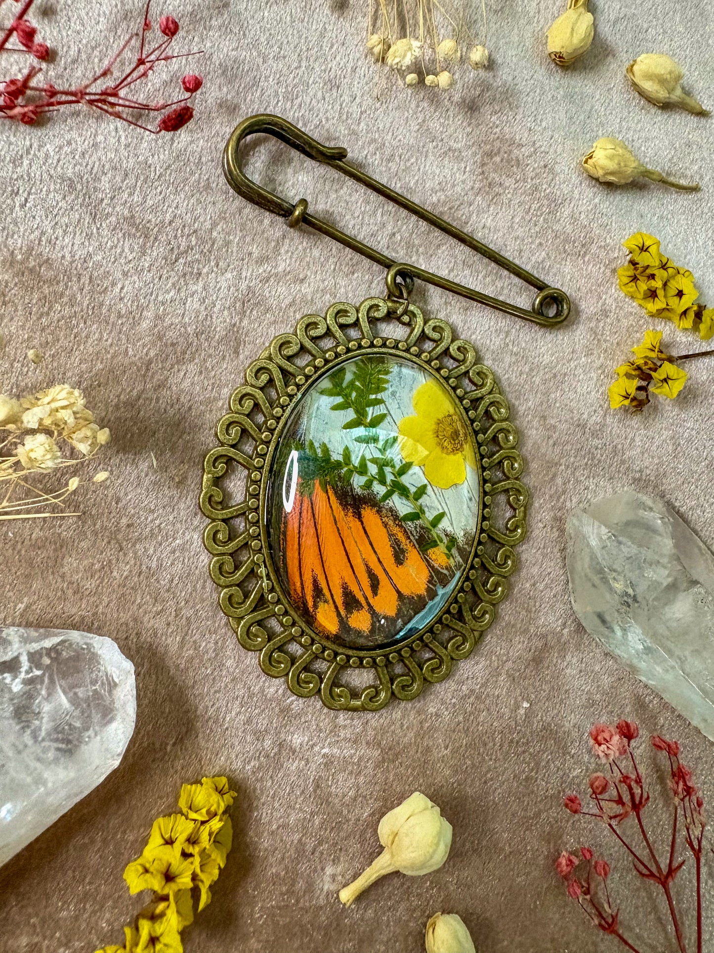 Great Orange Tip Butterfly Brooch (large brass)