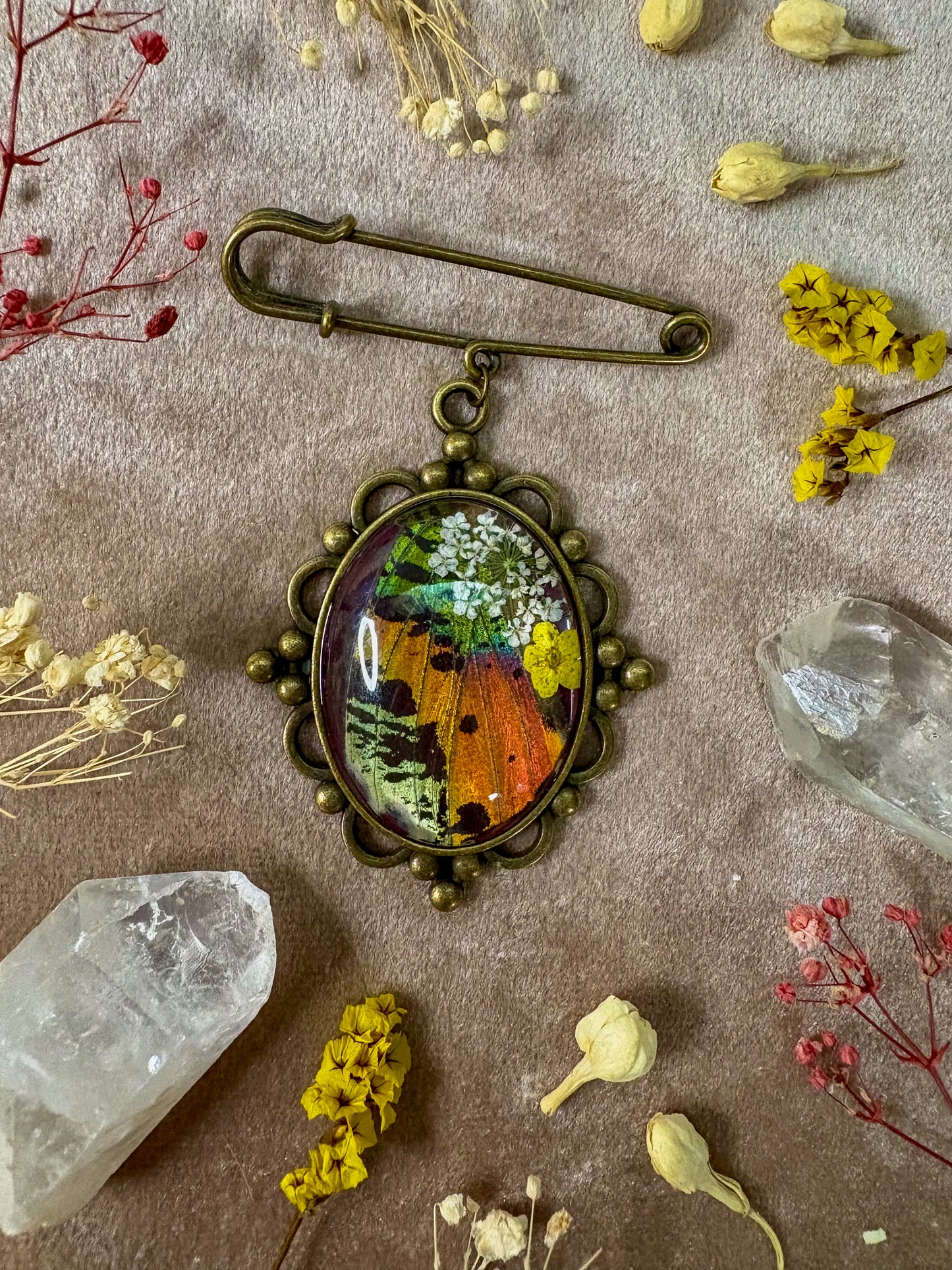 Madagascan Sunset Moth Brooch (large brass)