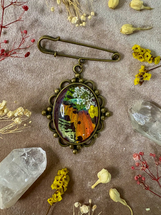 Madagascan Sunset Moth Brooch (large brass)