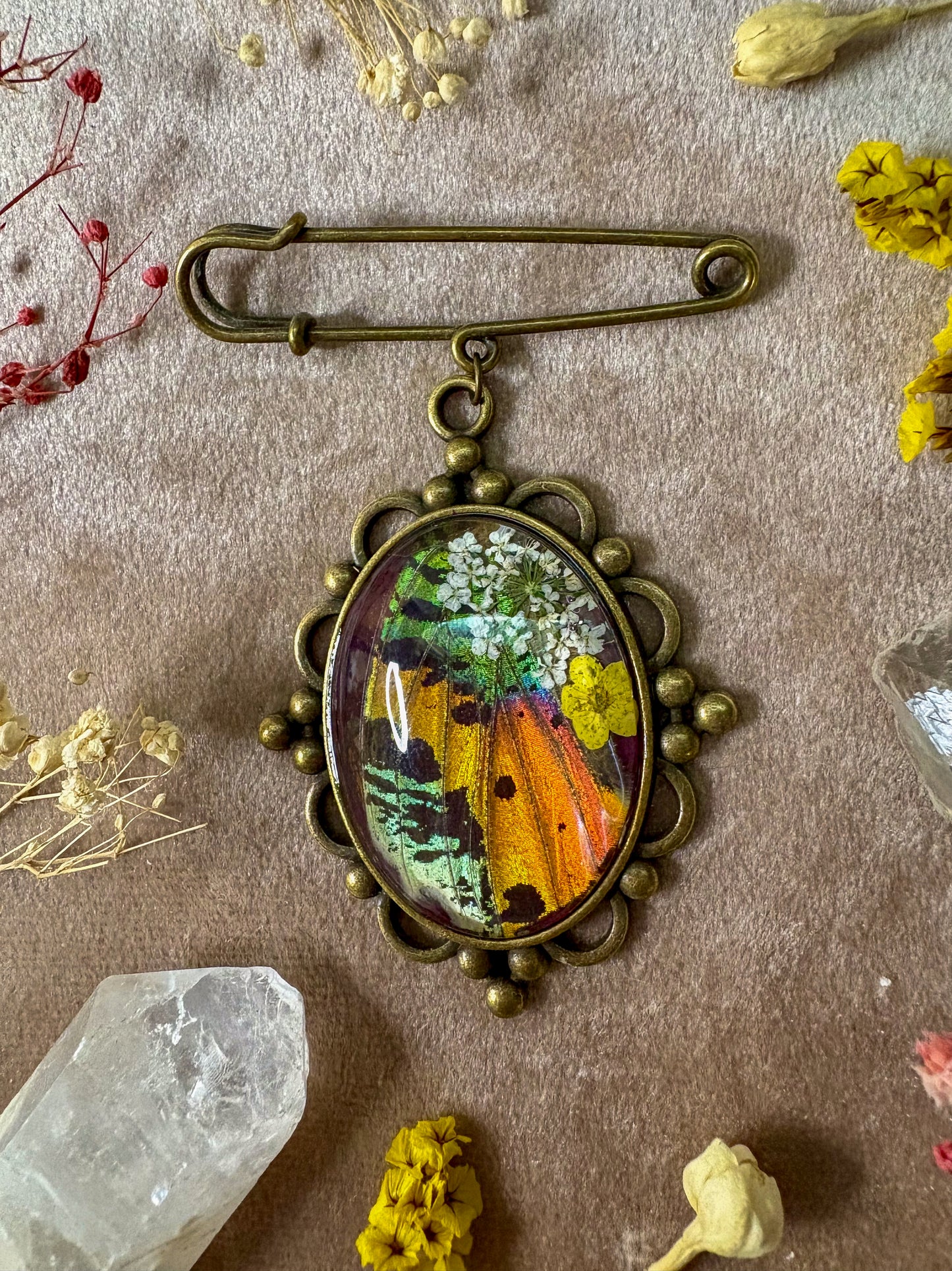 Madagascan Sunset Moth Brooch (large brass)