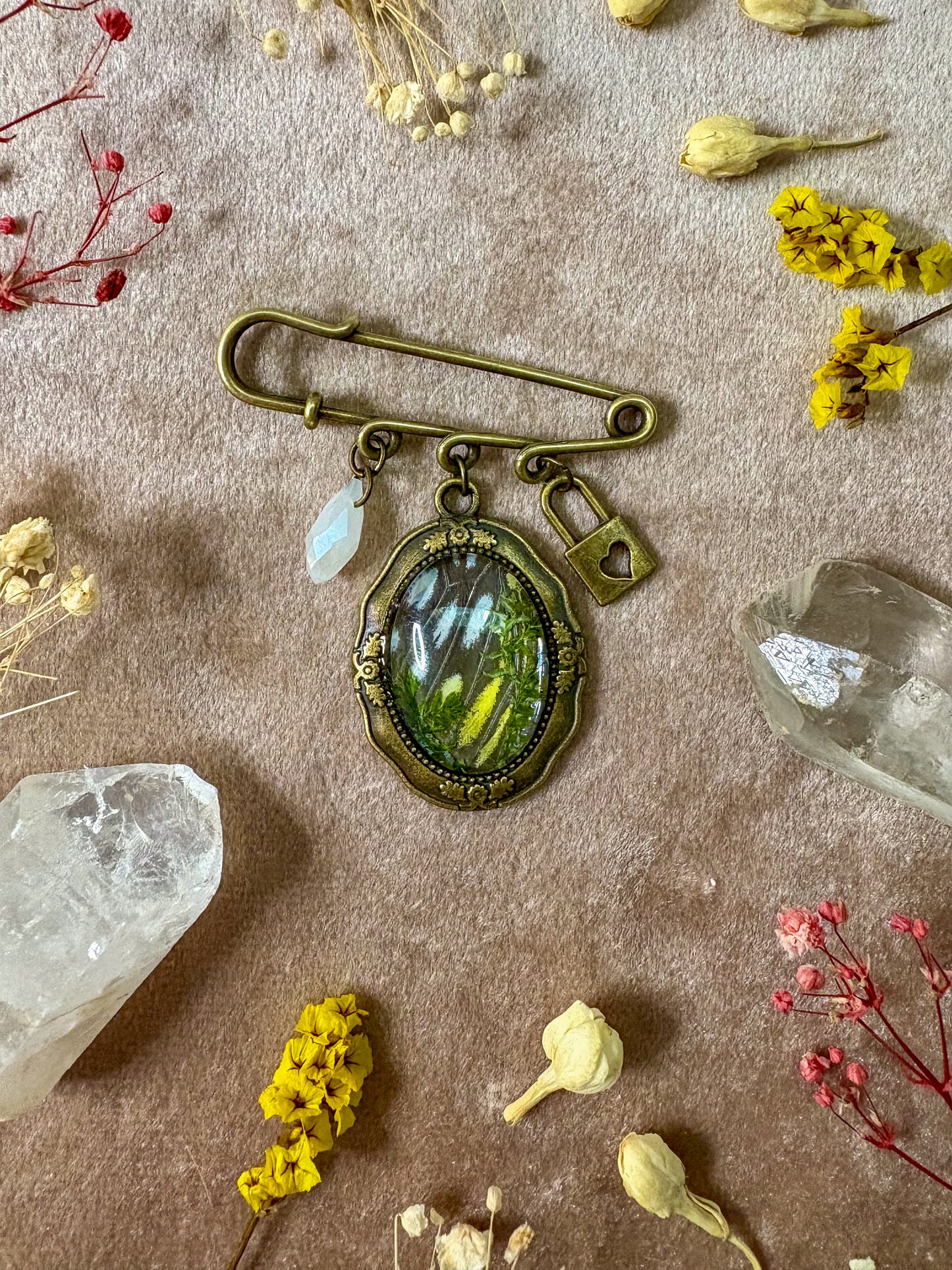 Spotted Sawtooth Butterfly Brooch (small brass)