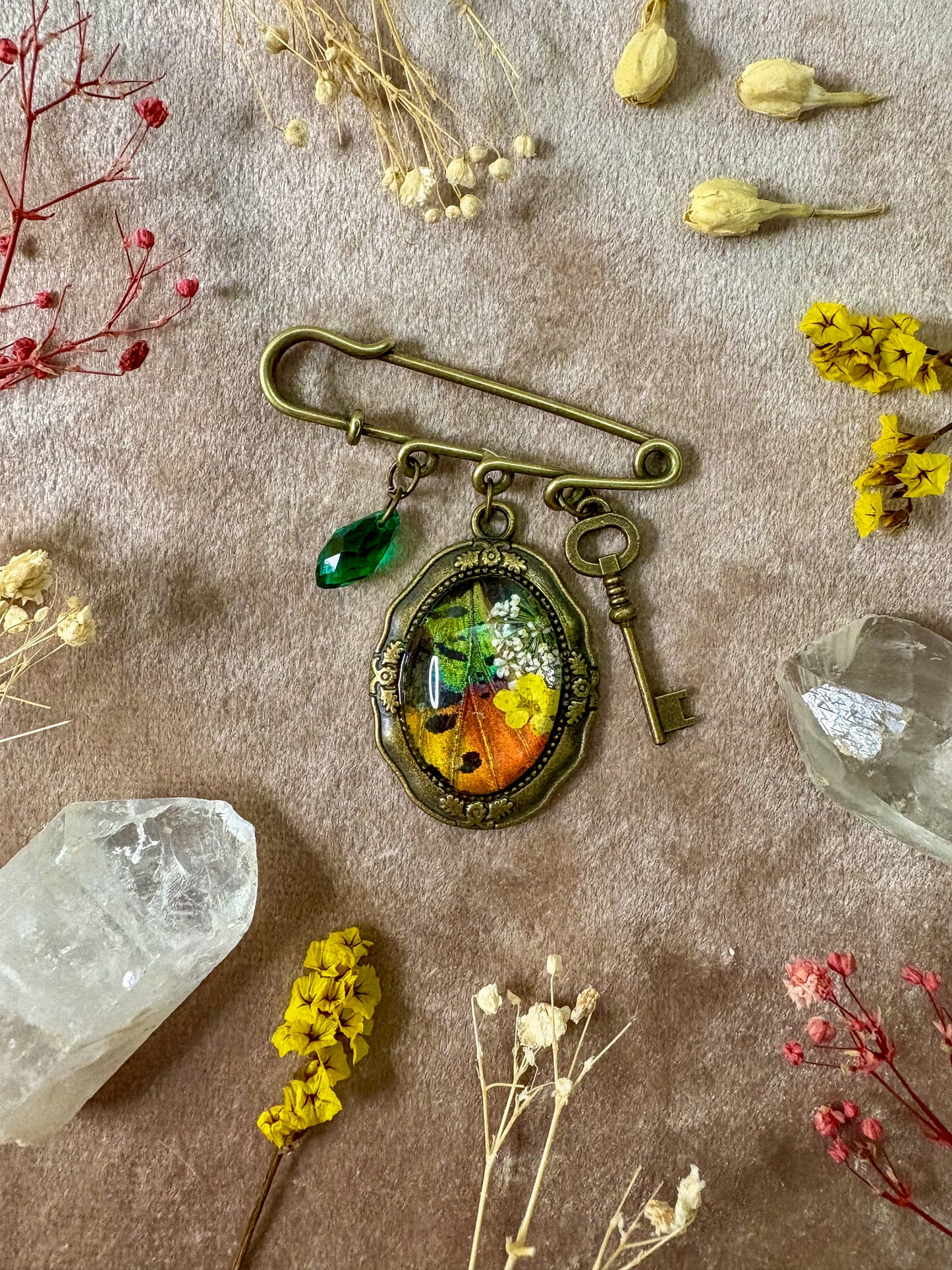 Madagascan Sunset Moth Brooch (small brass)